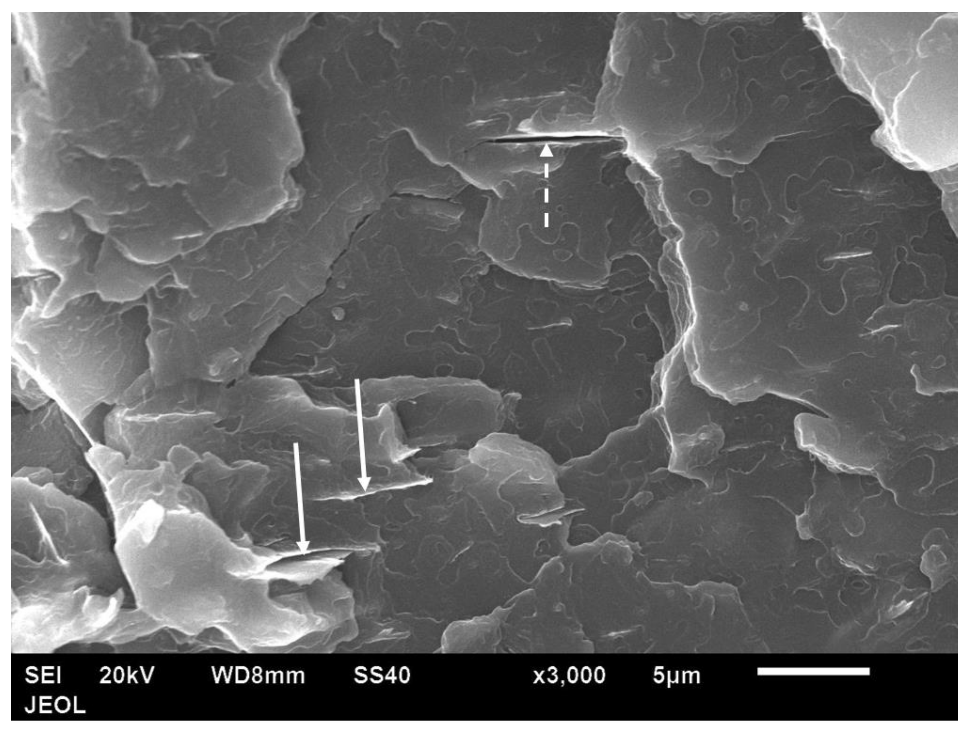 Polymers 14 00630 g014 550