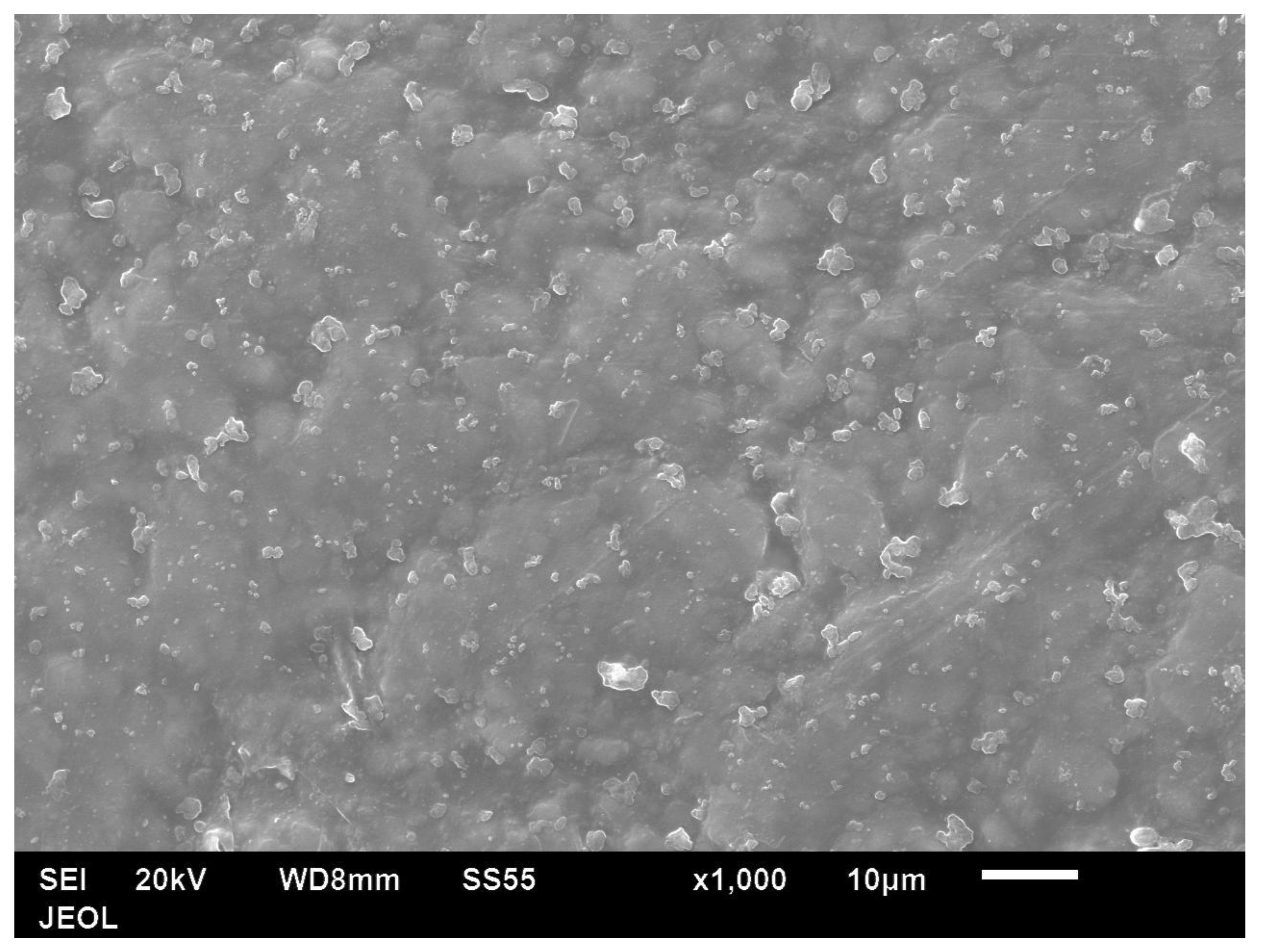 Polymers 14 00630 g015 550