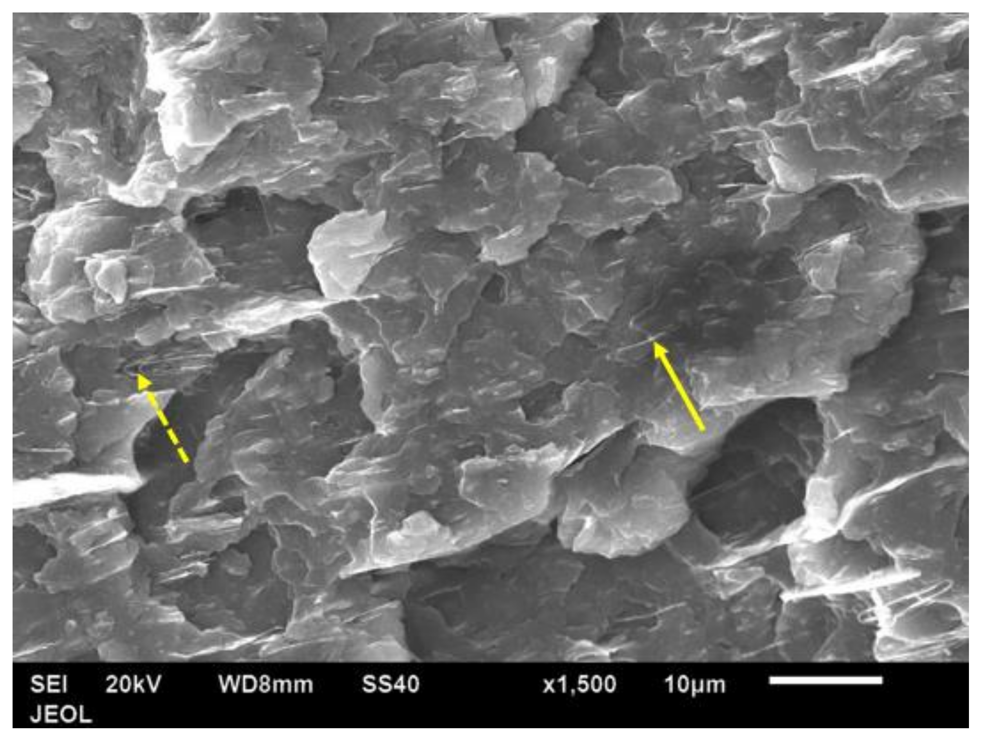 Polymers 14 00630 g018 550