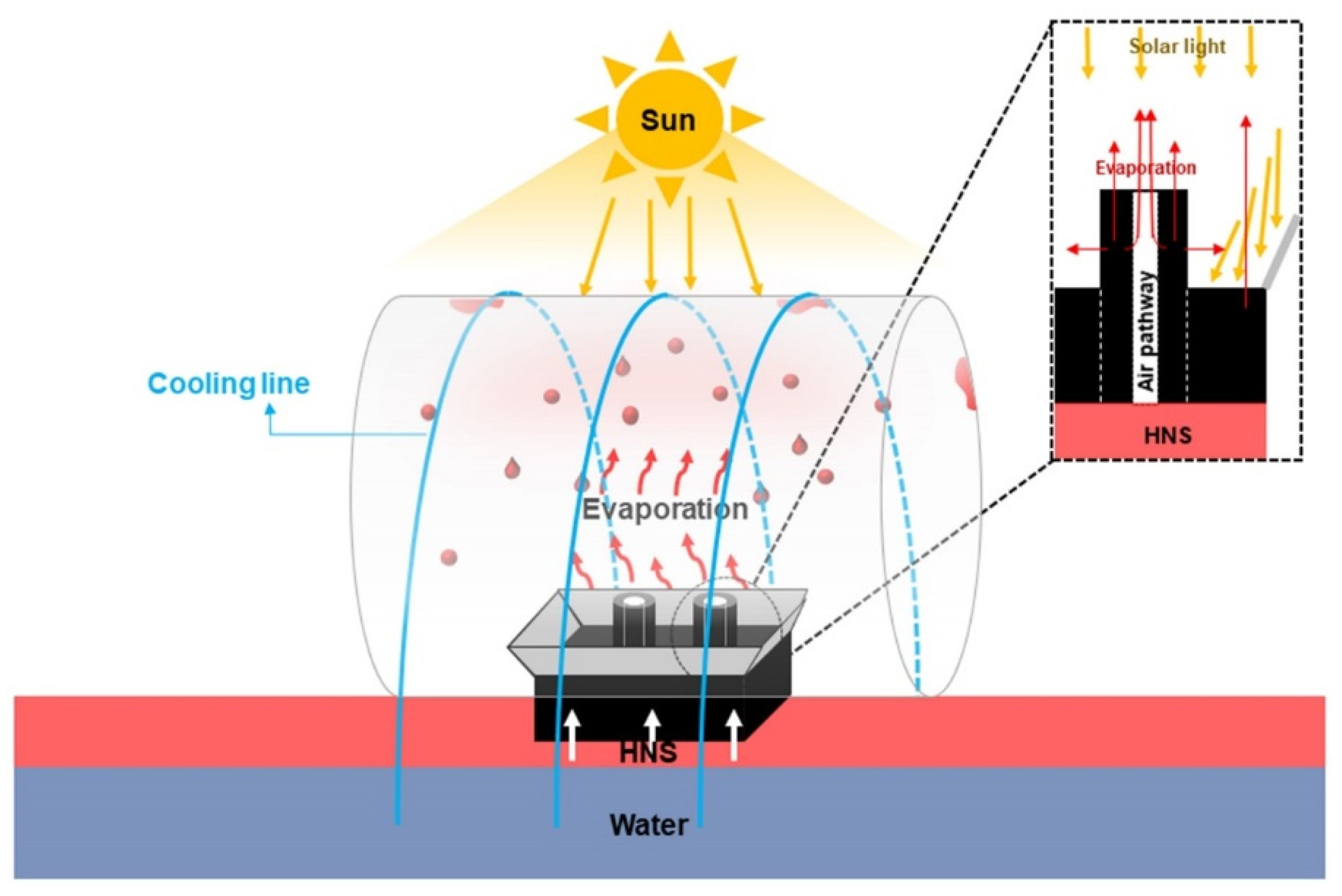 Polymers 14 00631 g001 550
