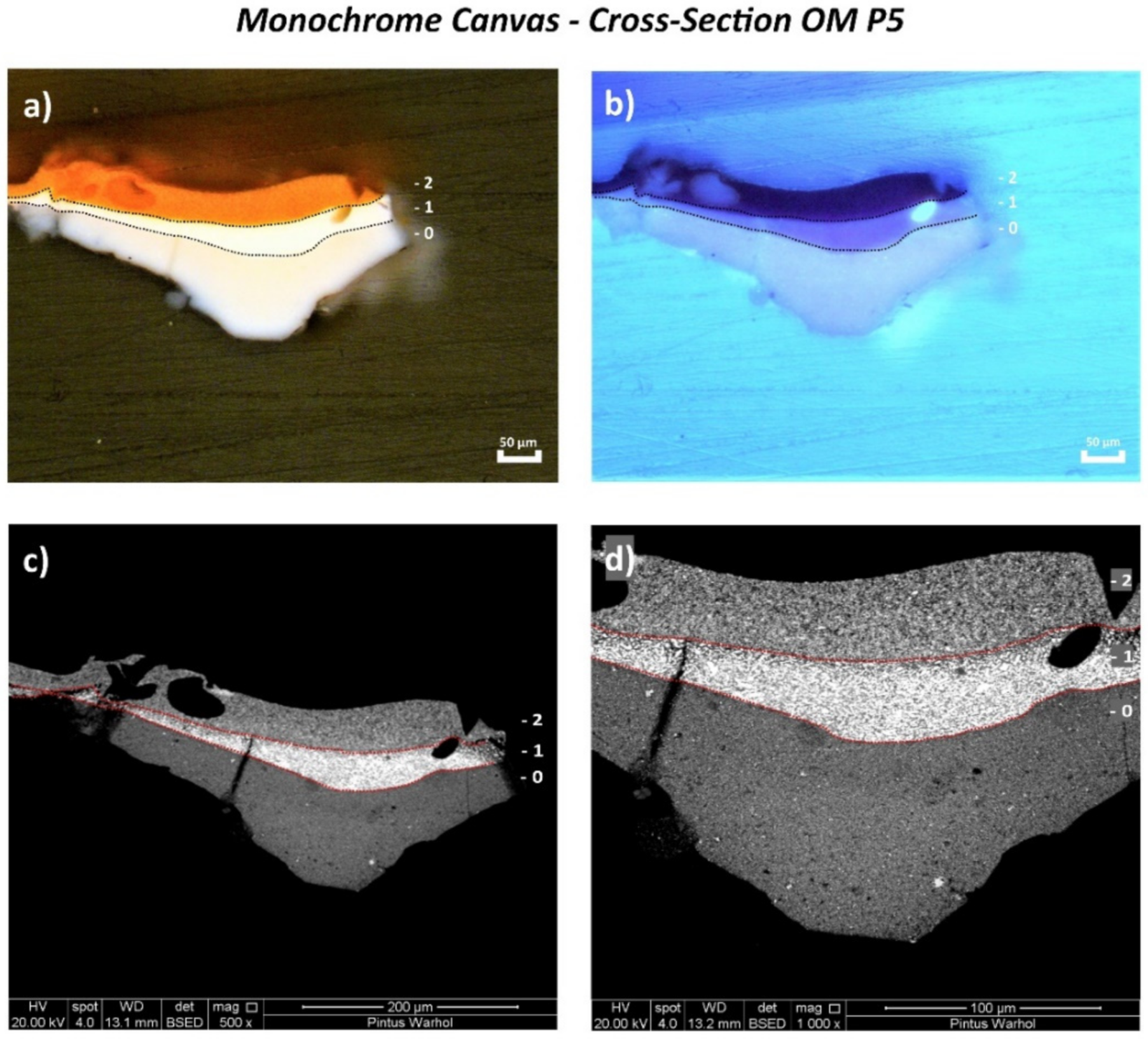 Polymers 14 00633 g002