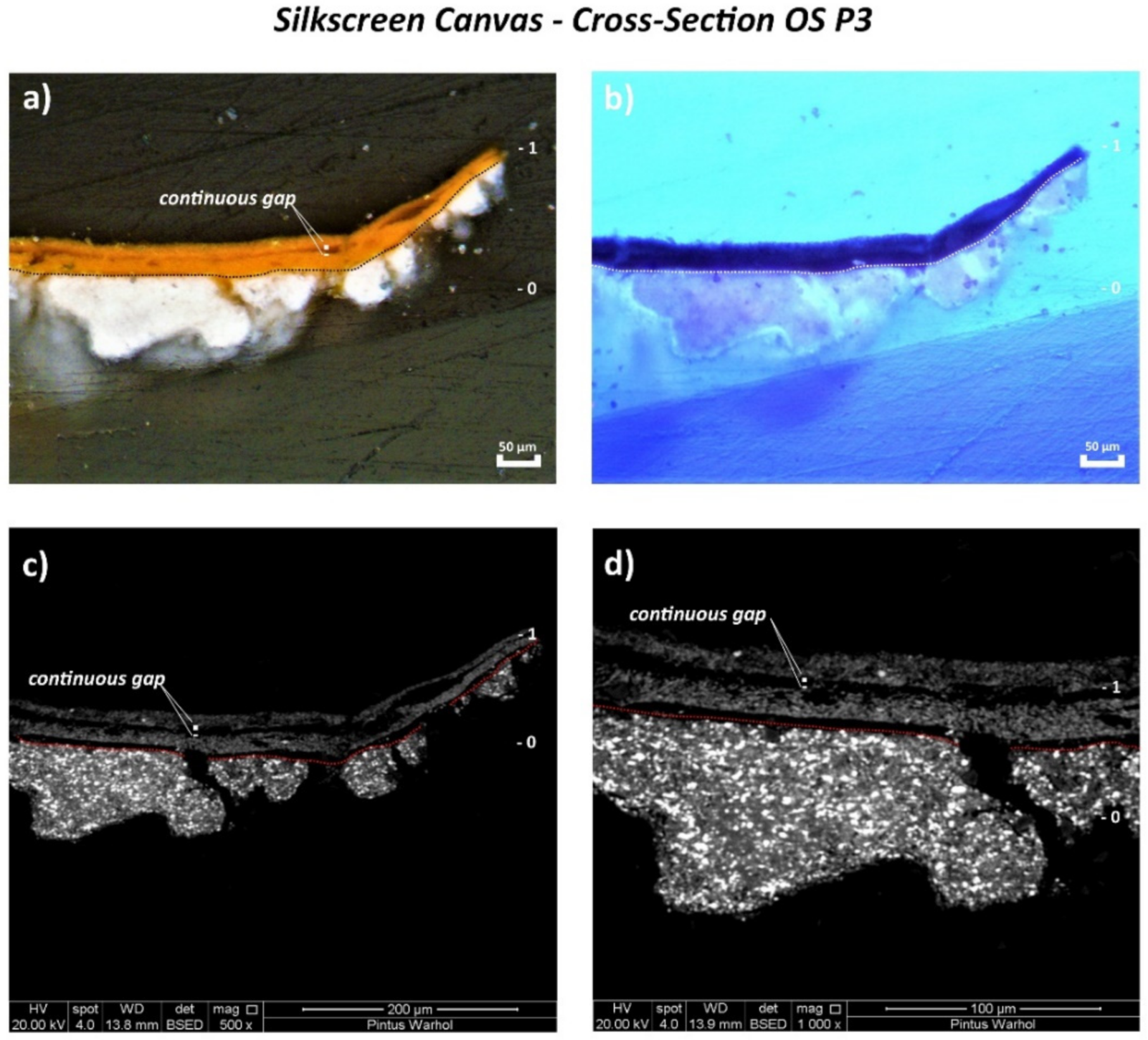 Polymers 14 00633 g008