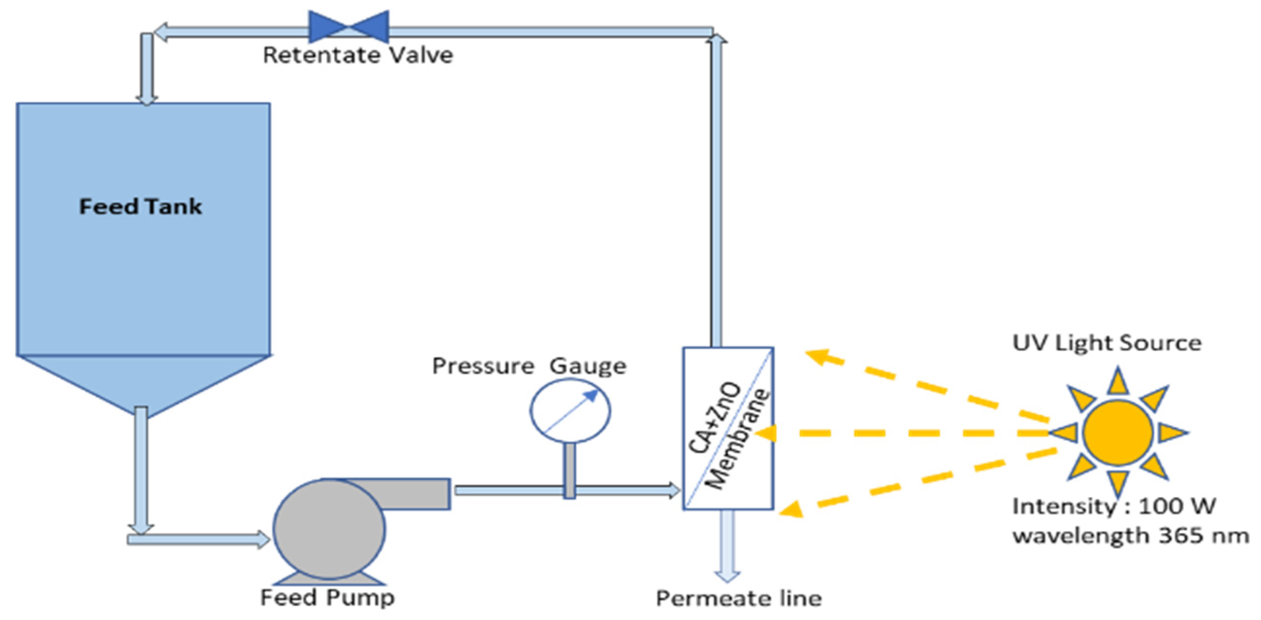 Polymers 14 00636 g001