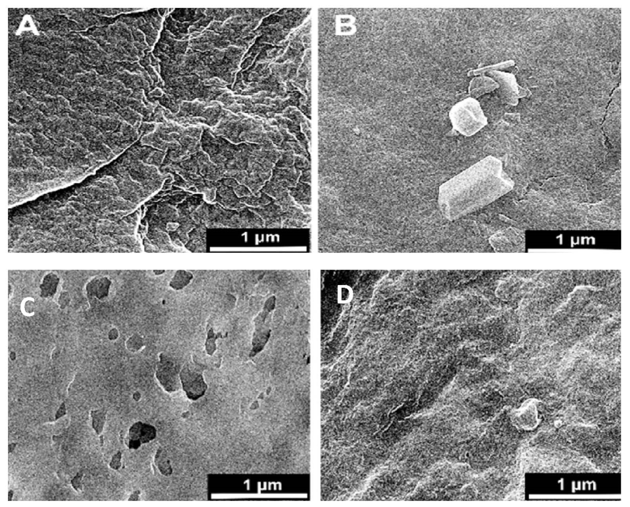 Polymers 14 00636 g003a