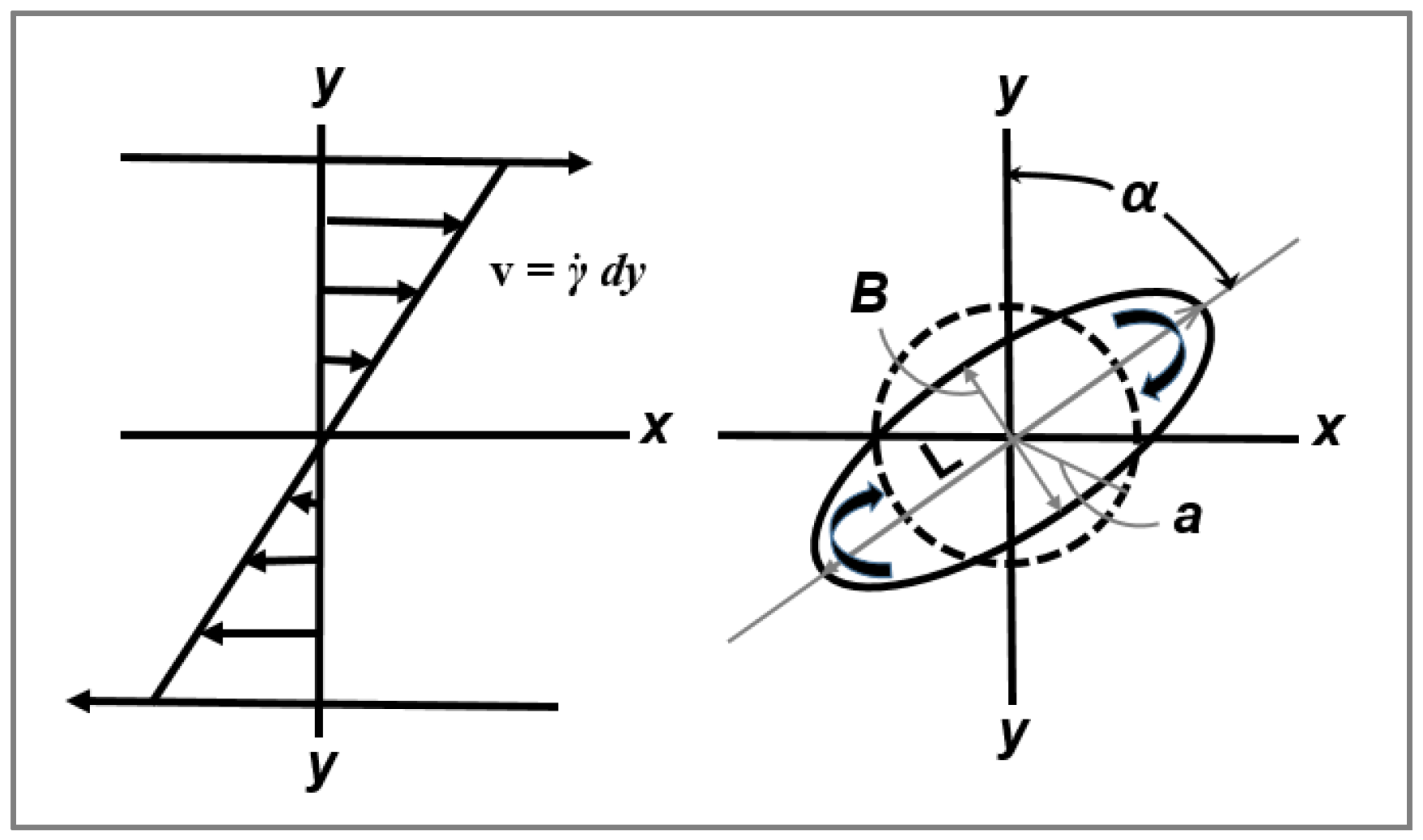 Polymers 14 00637 g003