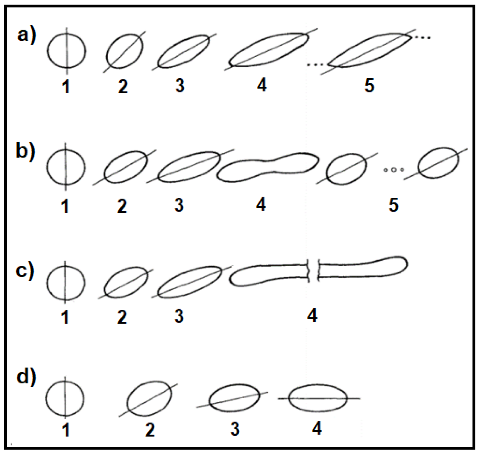 Polymers 14 00637 g004