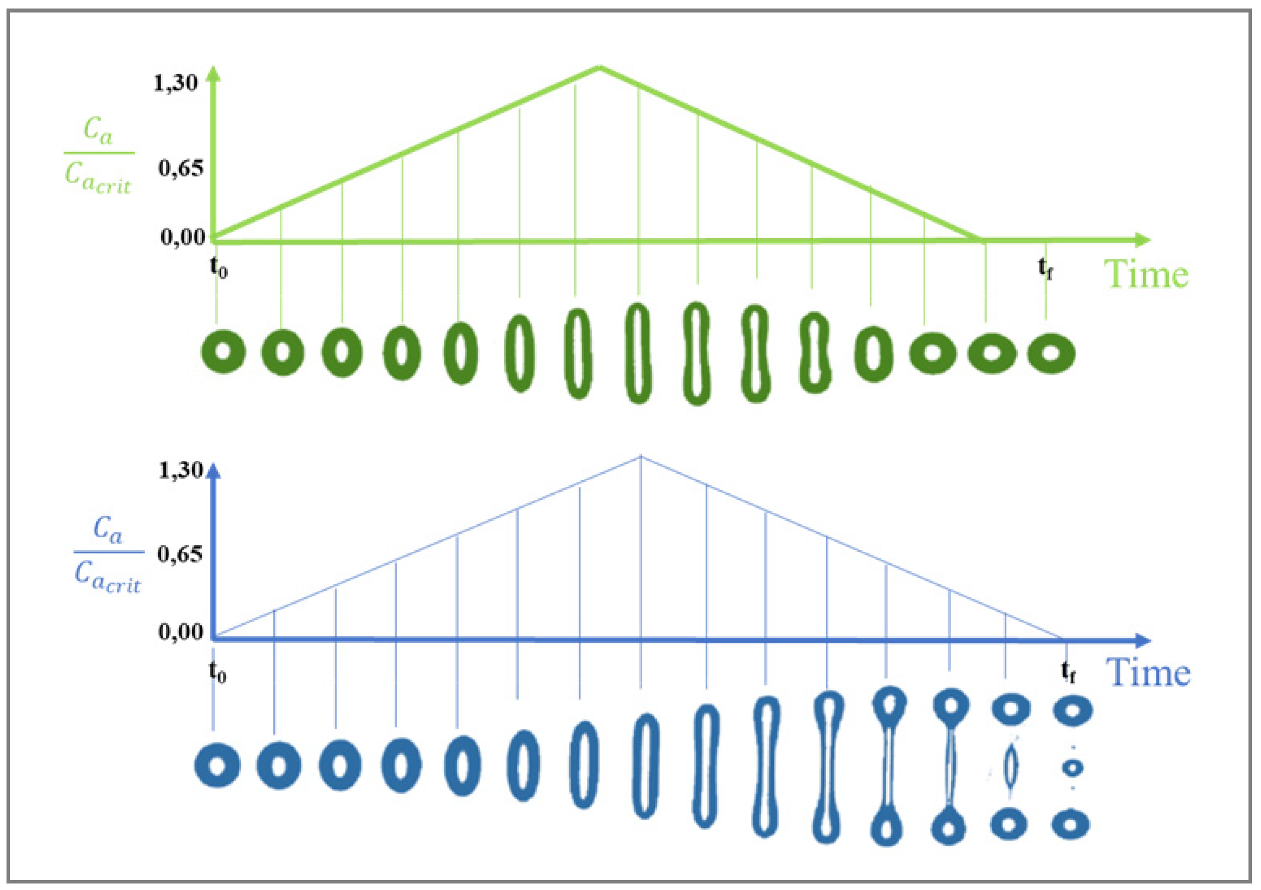Polymers 14 00637 g005