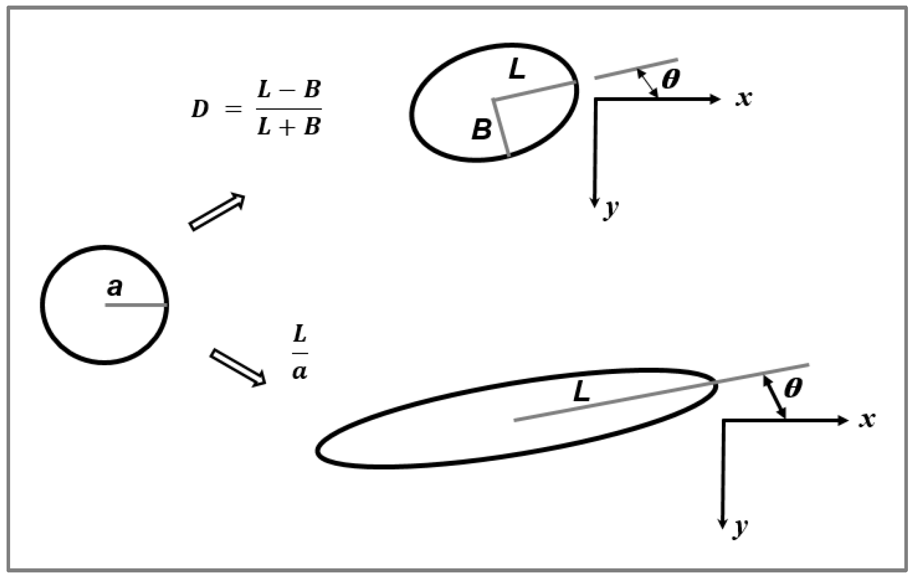 Polymers 14 00637 g006