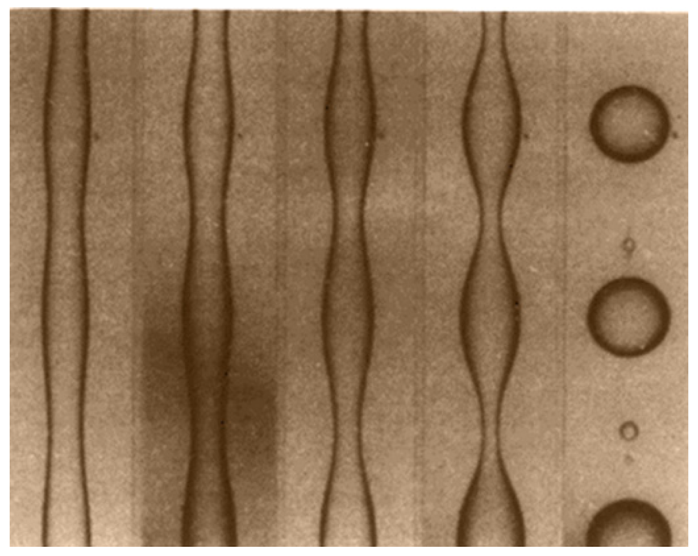 Polymers 14 00637 g008