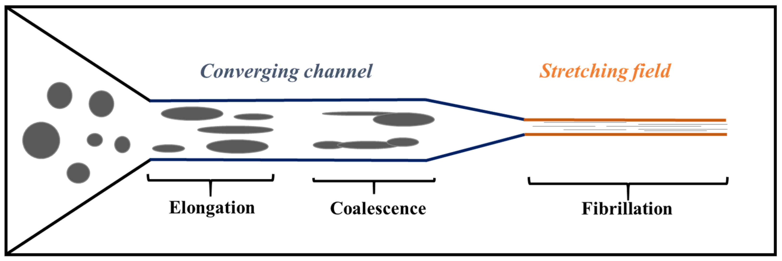 Polymers 14 00637 g020