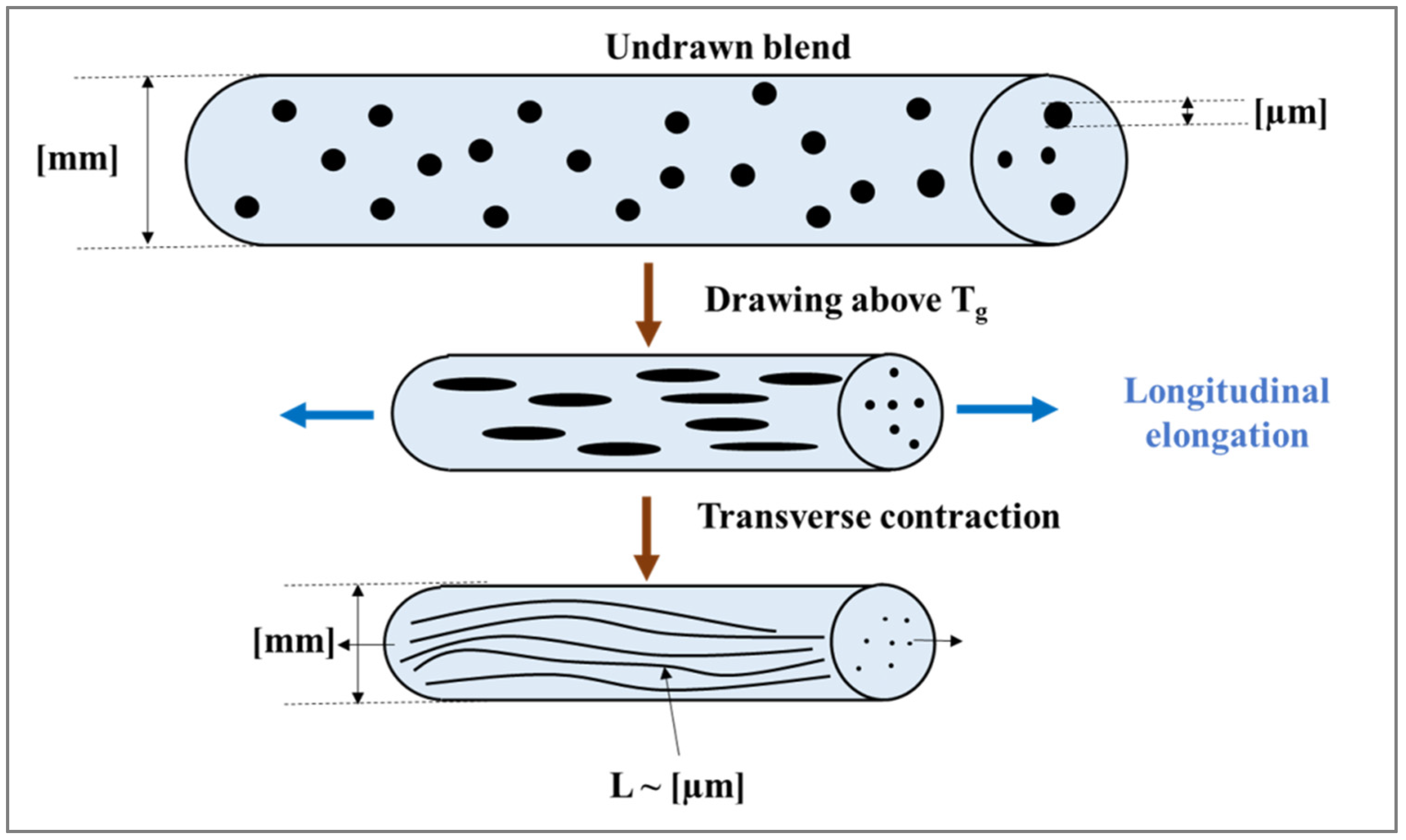 Polymers 14 00637 g022