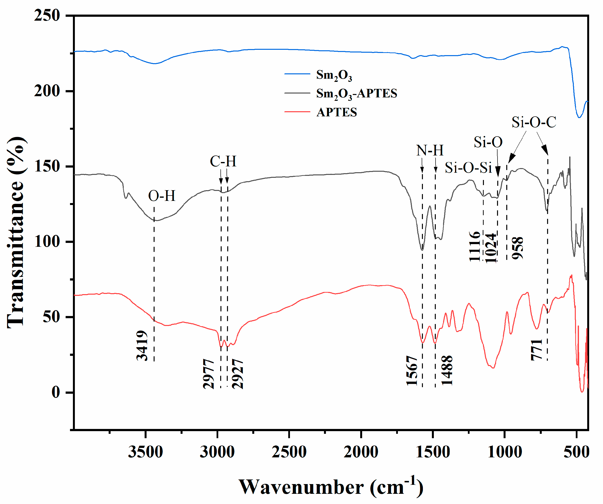 Polymers 14 00638 g003