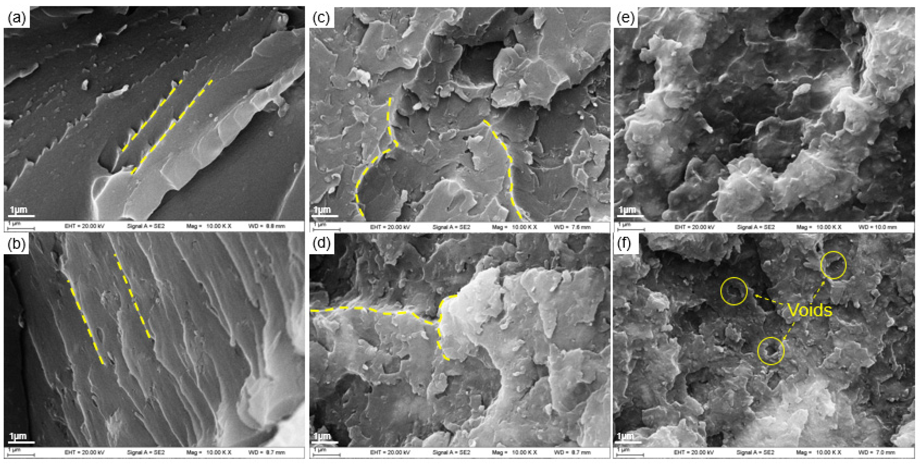 Polymers 14 00638 g010