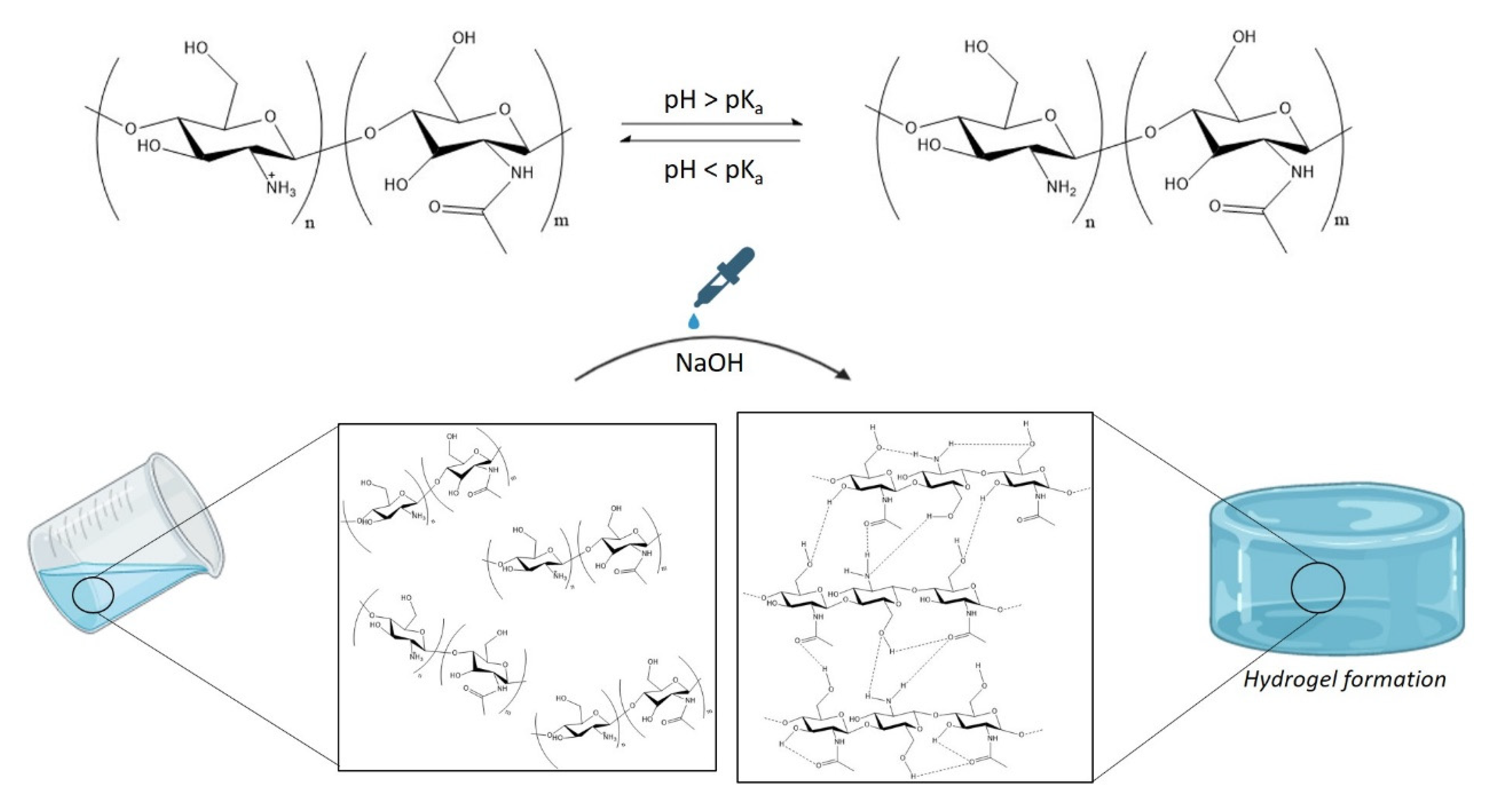 Polymers 14 00650 g001