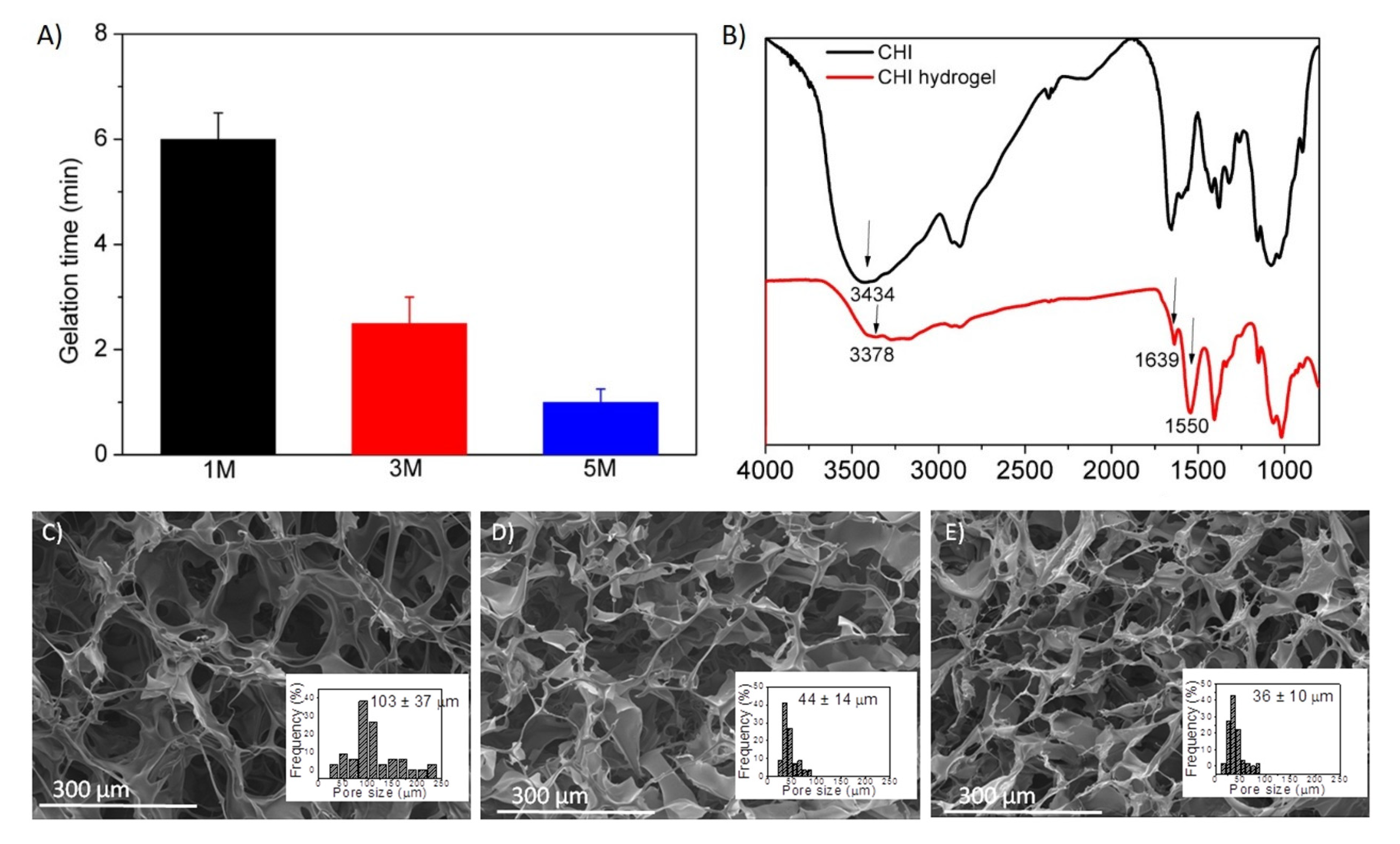 Polymers 14 00650 g002