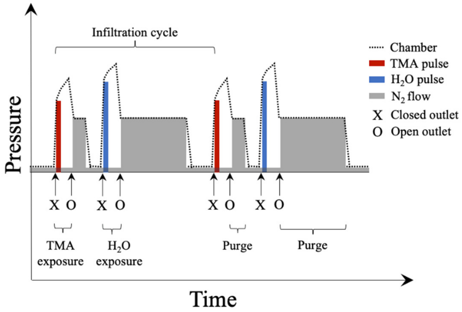 Polymers 14 00654 g001 550
