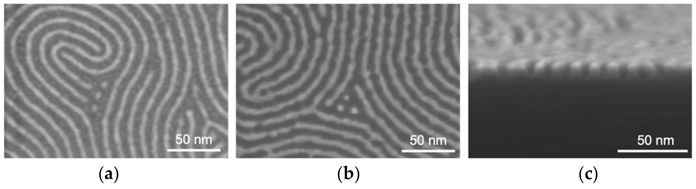 Polymers 14 00654 g006 550
