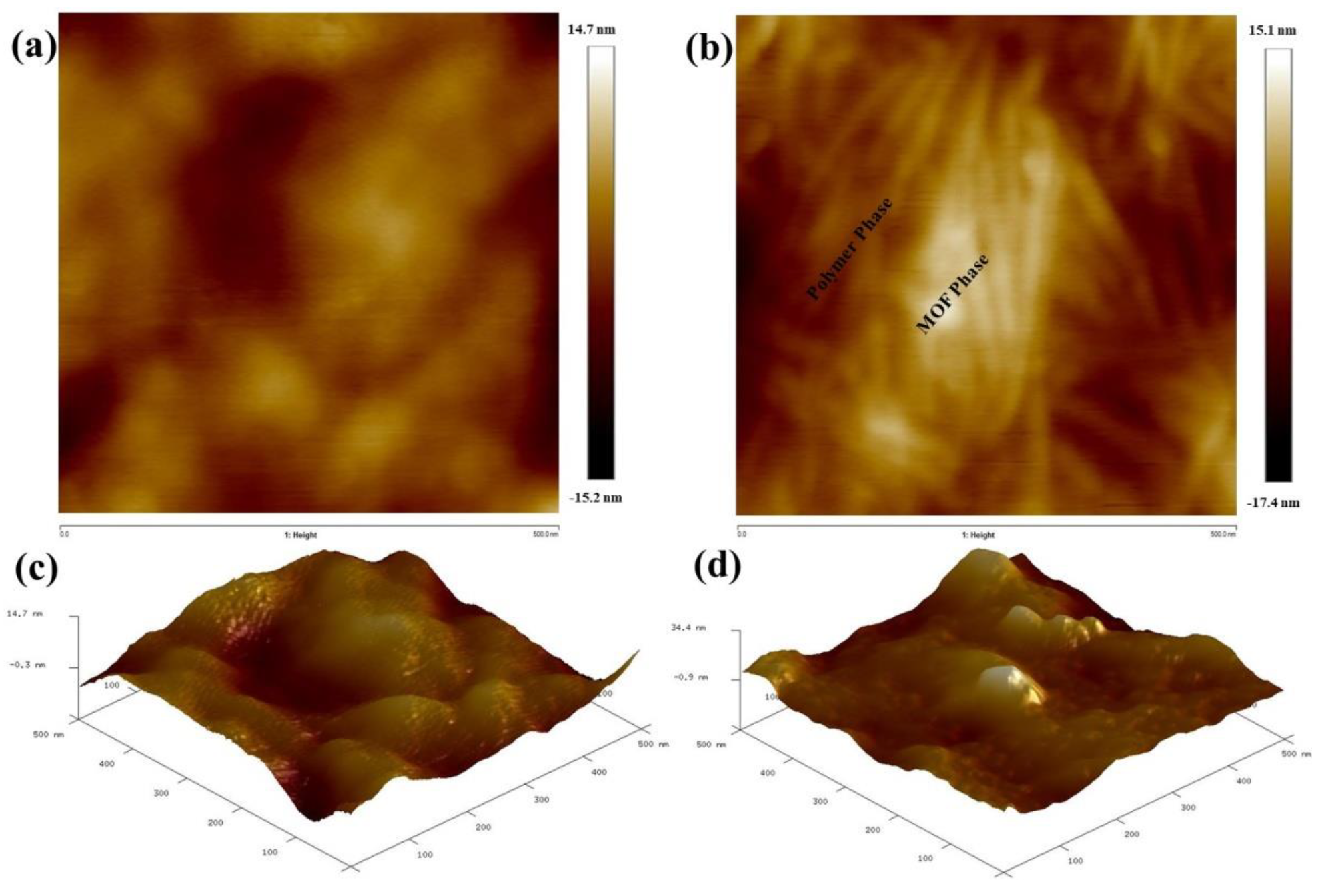 Polymers 14 00655 g006