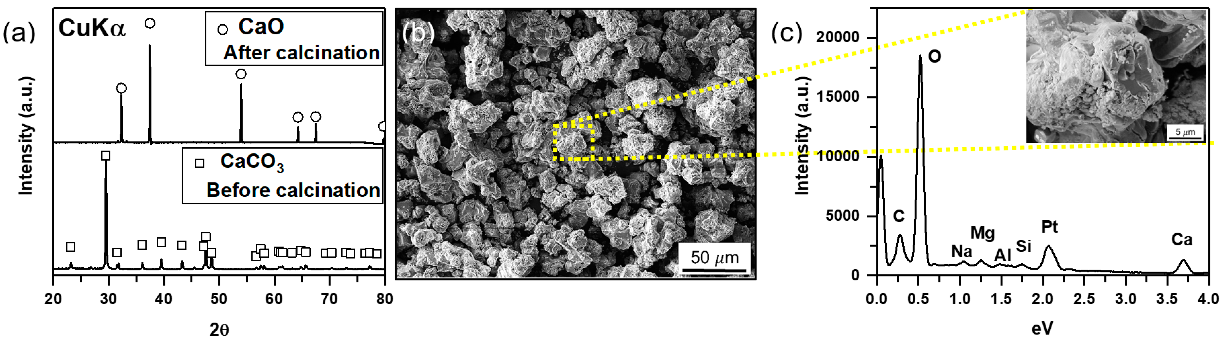 Polymers 14 00656 g001 550