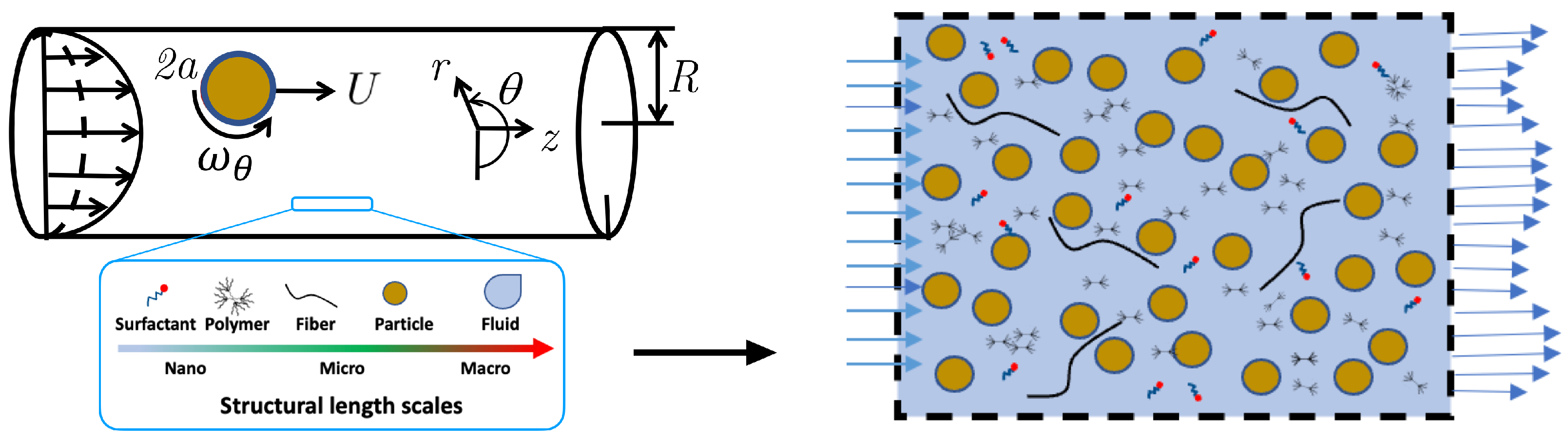 Polymers 14 00657 g001 550