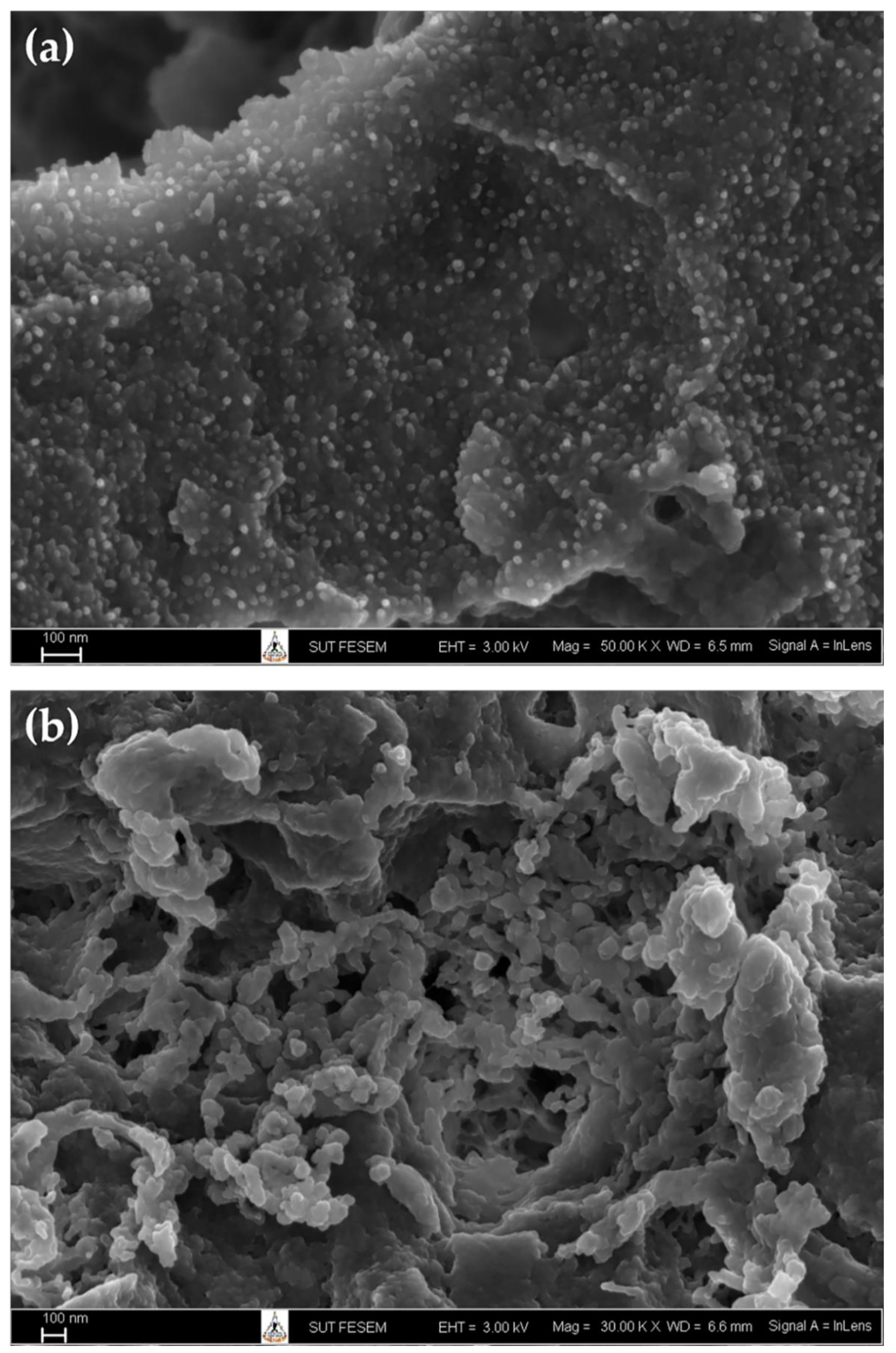 Polymers 14 00660 g003