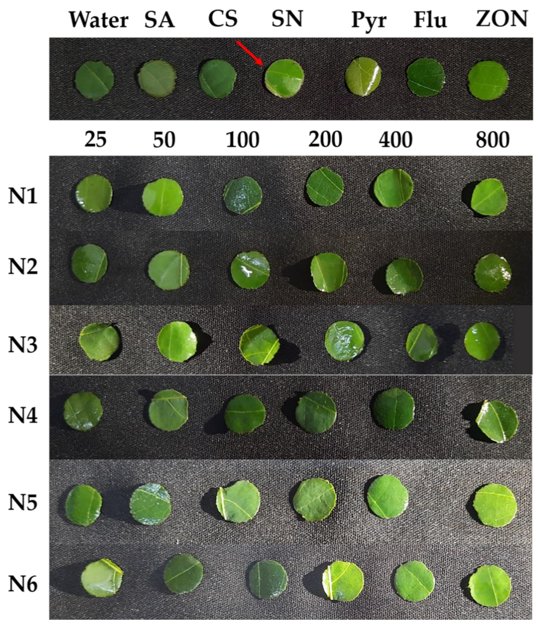Polymers 14 00660 g005