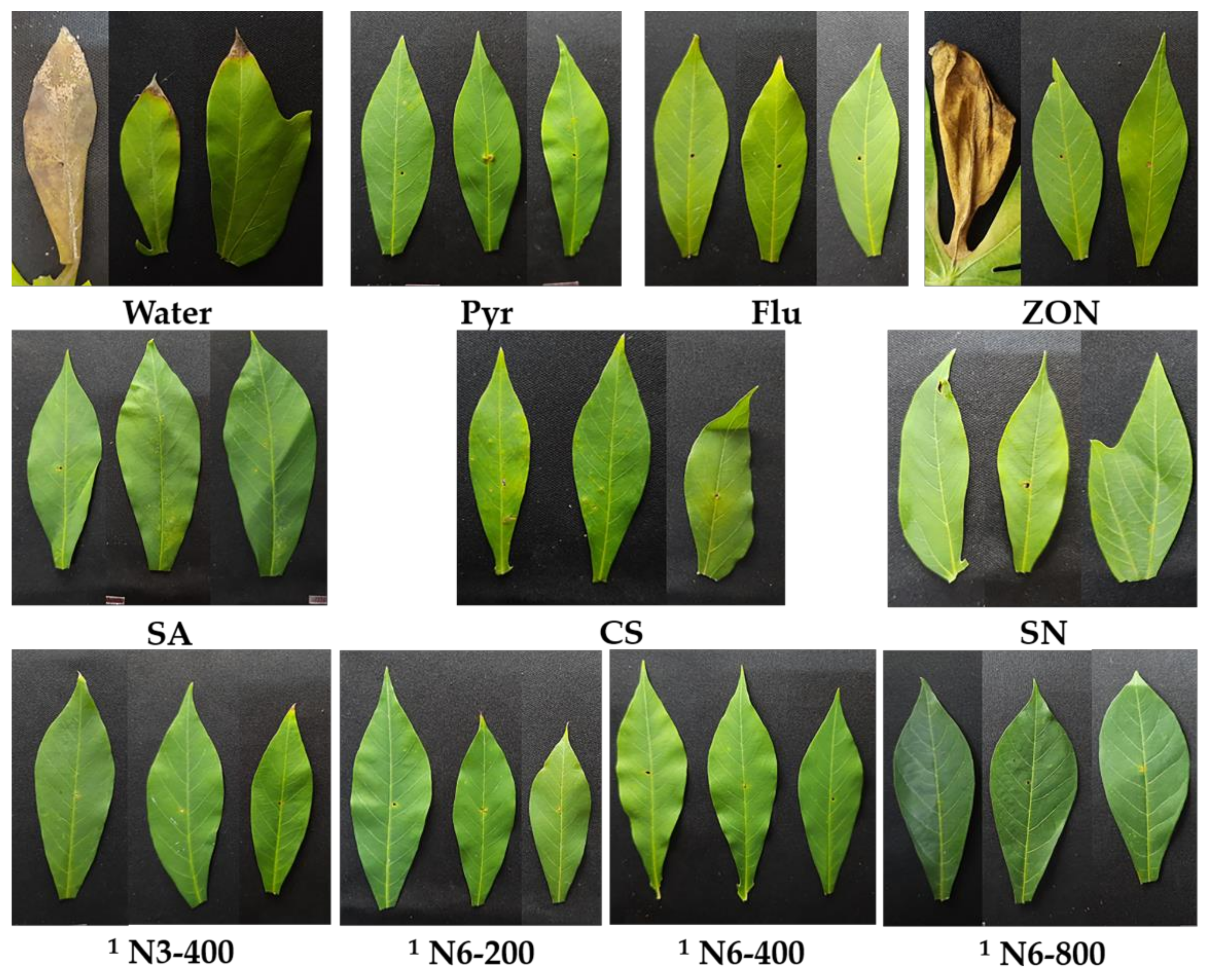 Polymers 14 00660 g007