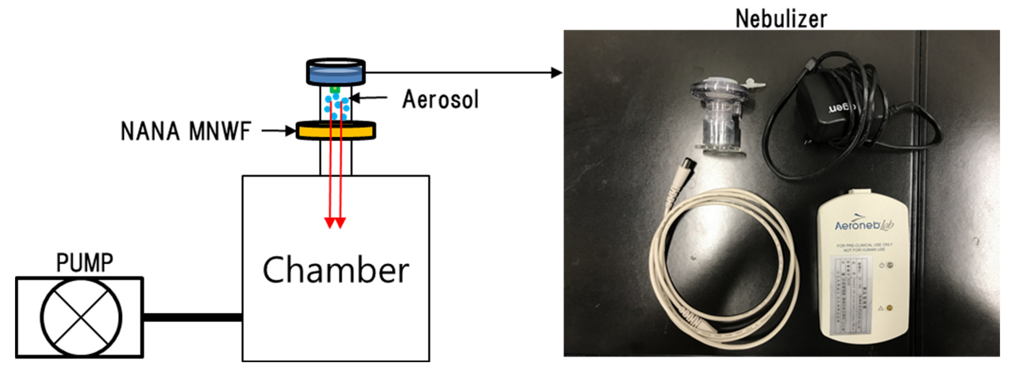 Polymers 14 00663 g004