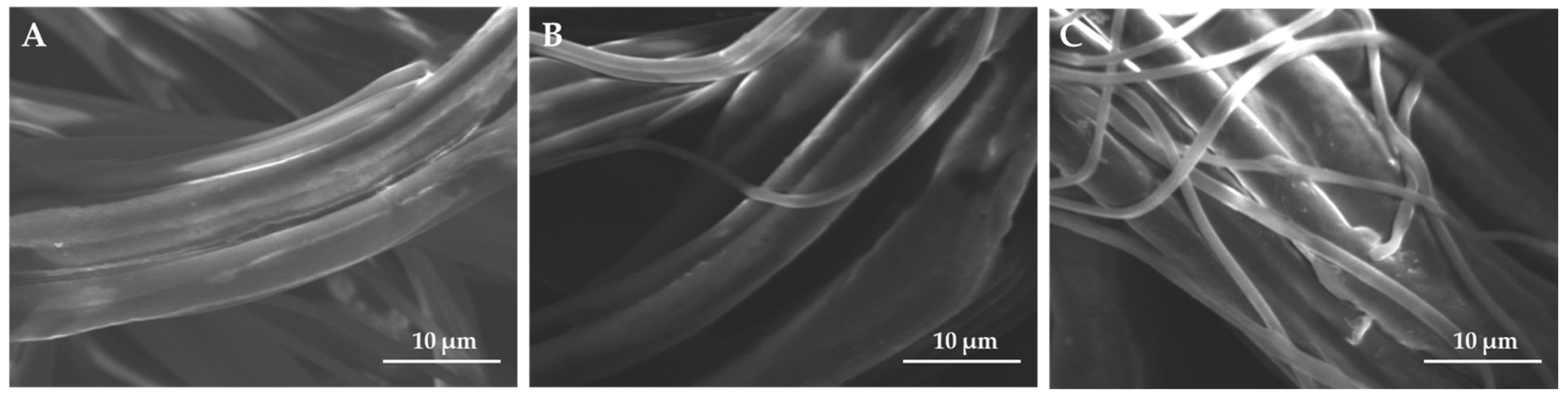 Polymers 14 00663 g007