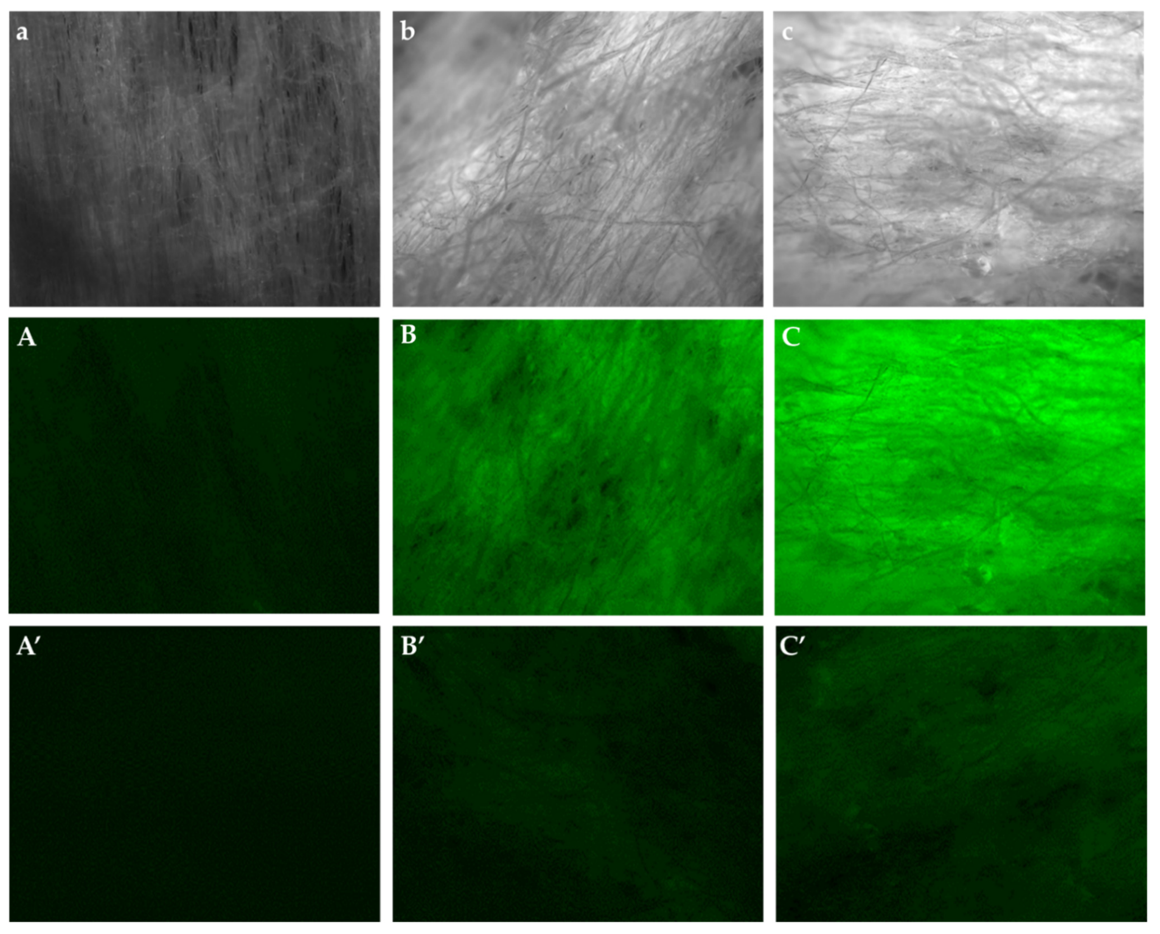 Polymers 14 00663 g008