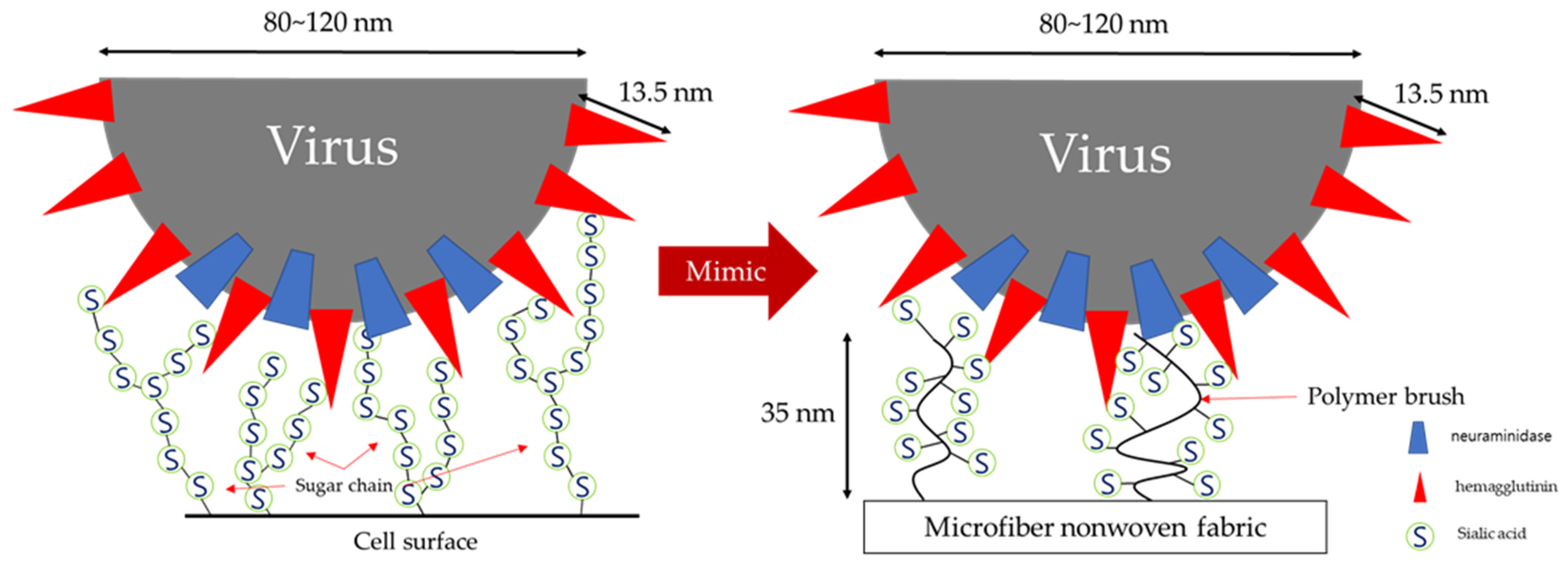Polymers 14 00663 sch001