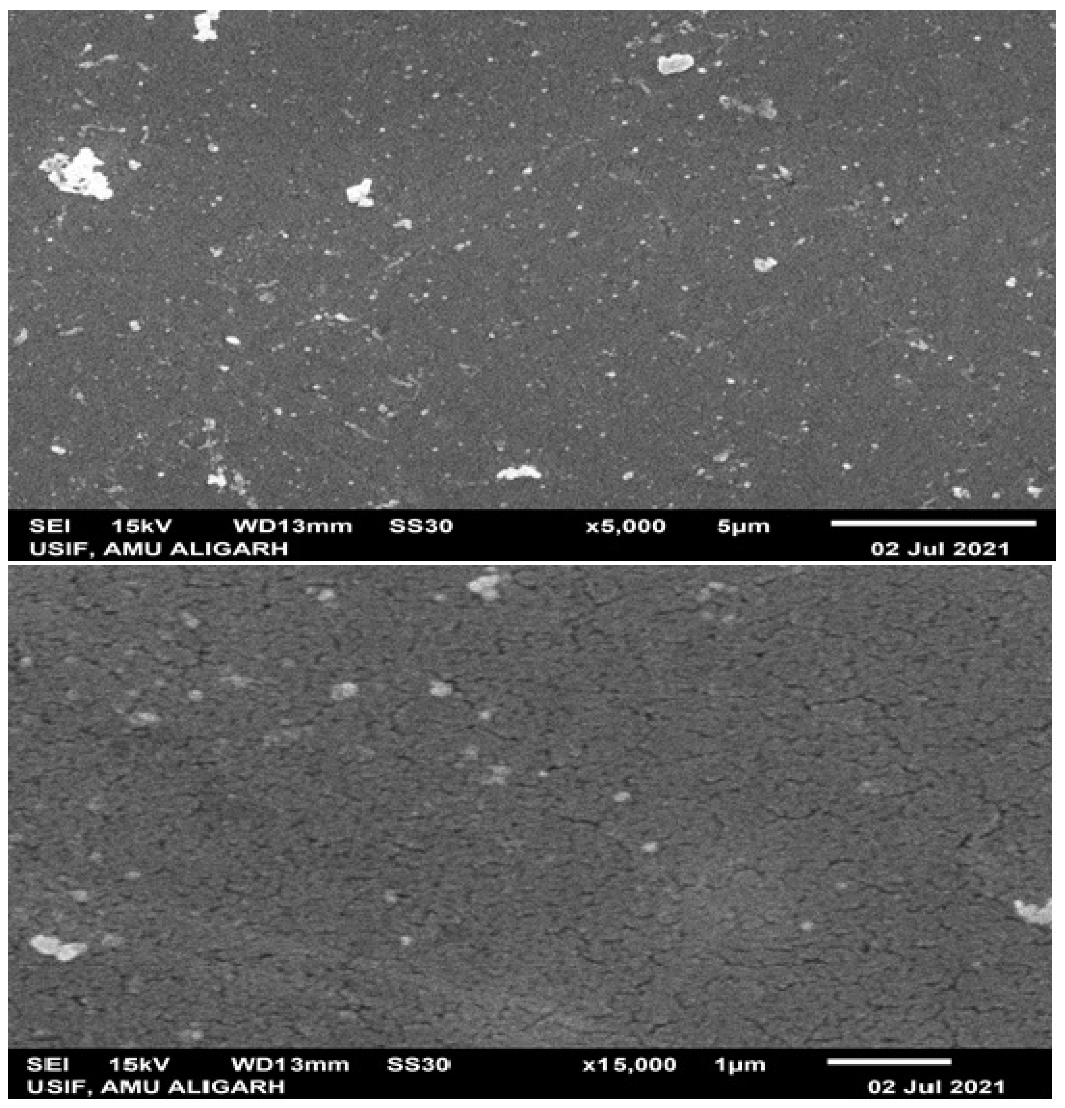 Polymers 14 00668 g004