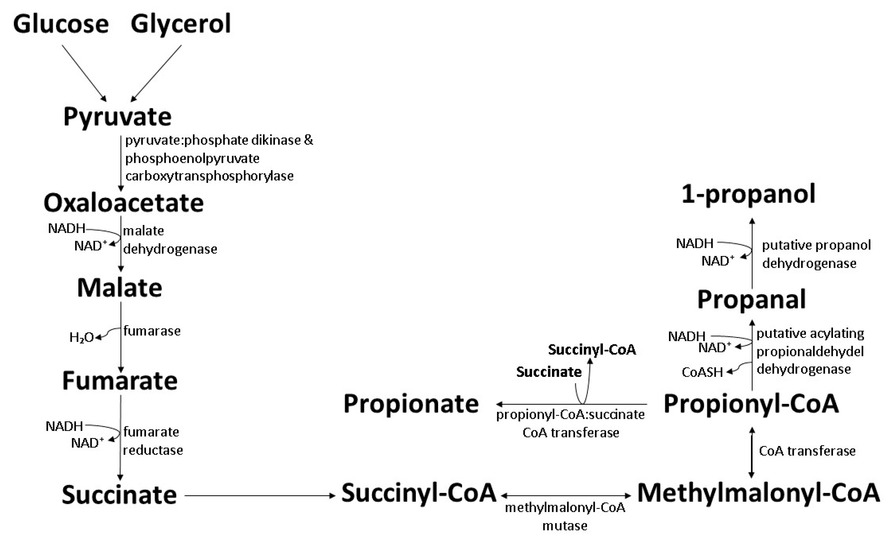 Polymers 14 00670 g005 Polymers 14 00670 g005