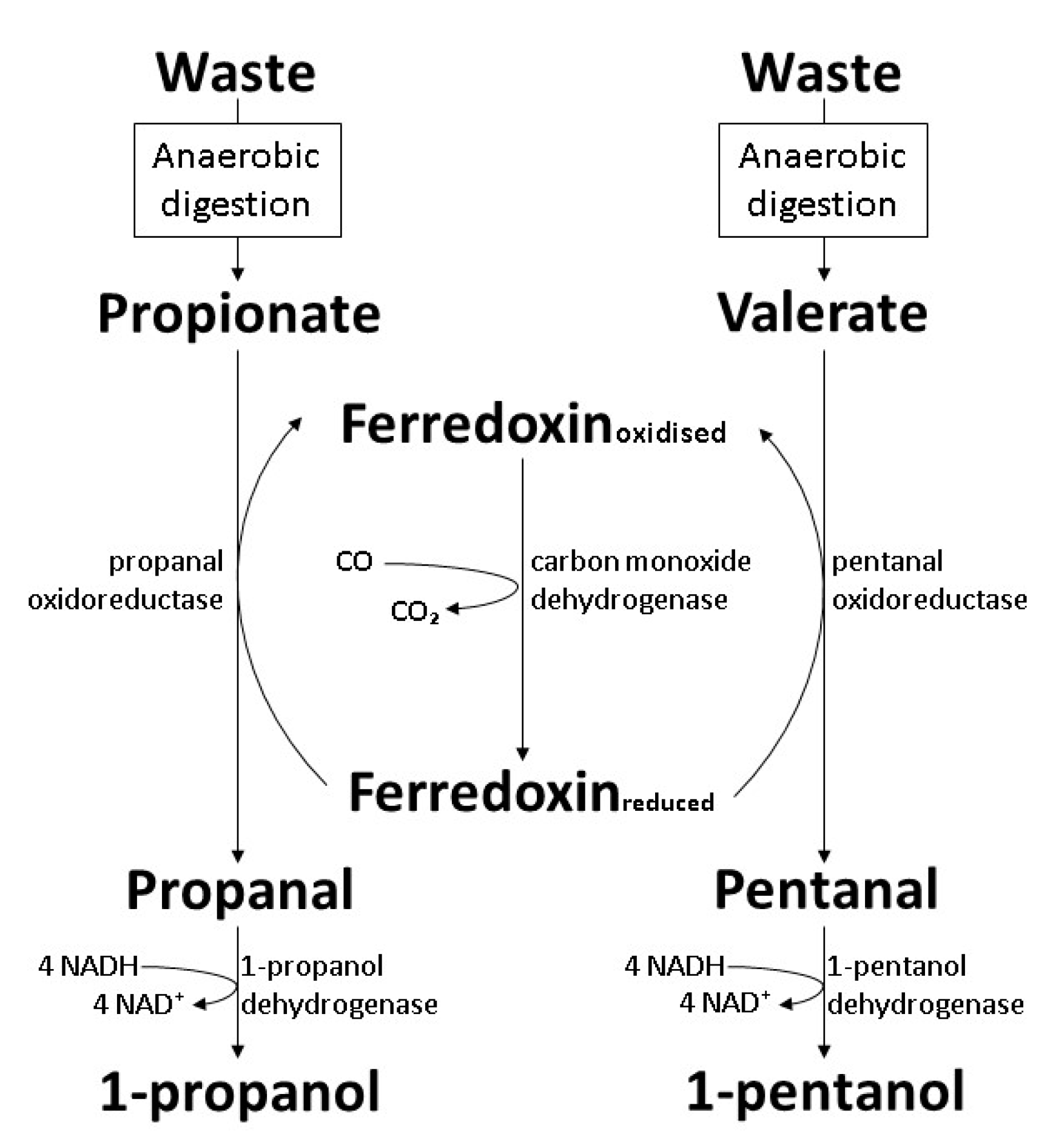 Polymers 14 00670 g007 Polymers 14 00670 g007