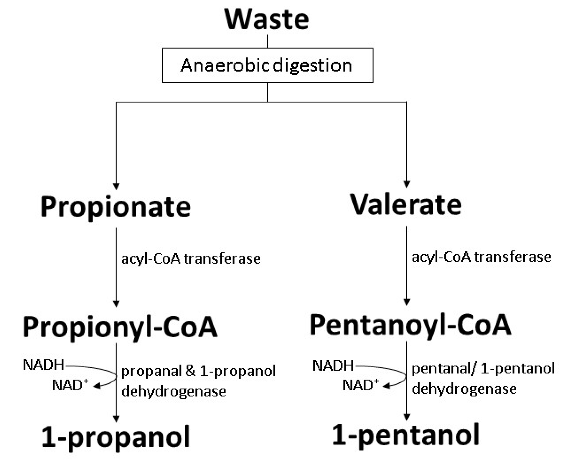 Polymers 14 00670 g011 Polymers 14 00670 g011