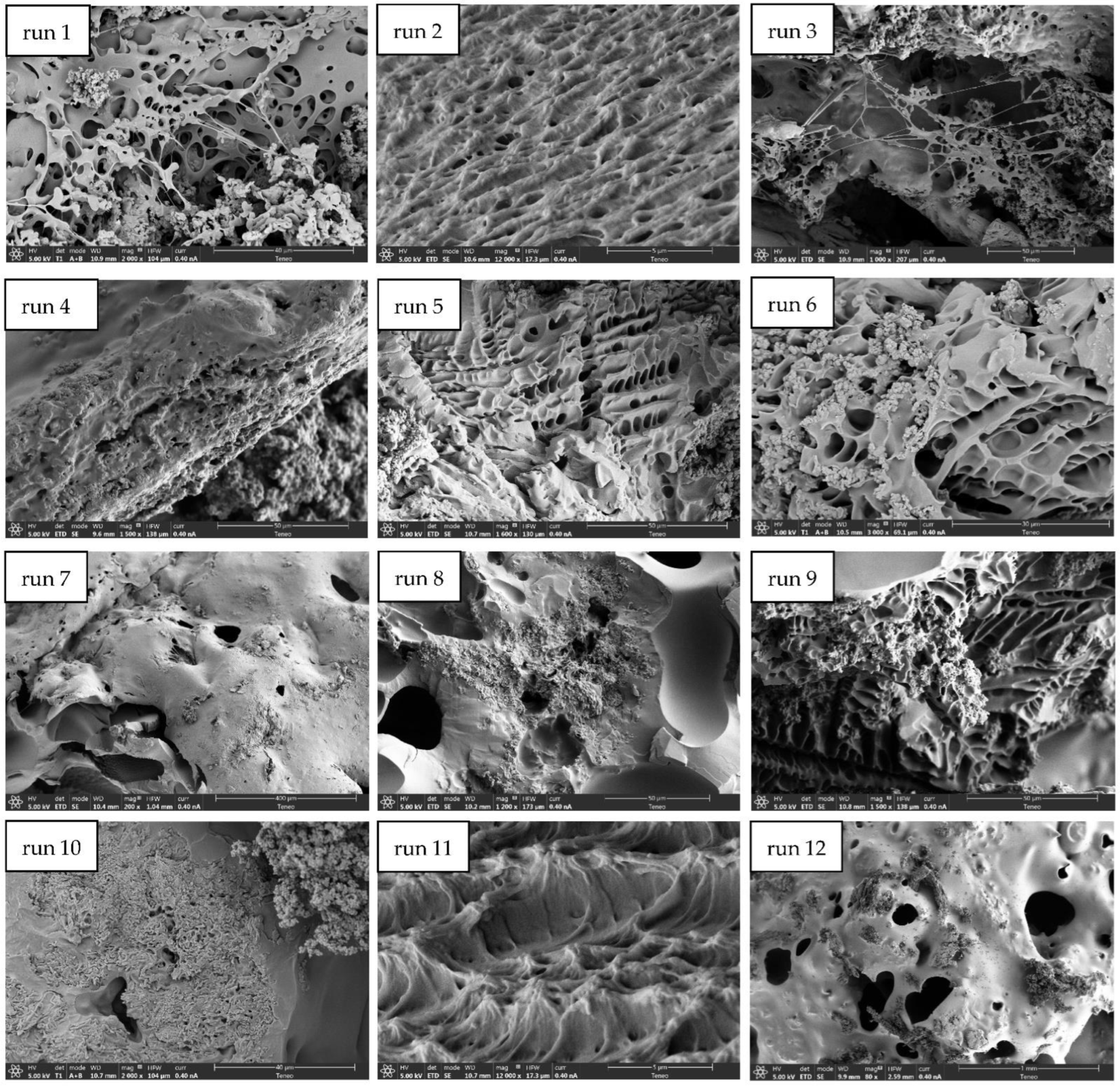 Polymers 14 00672 g002 550