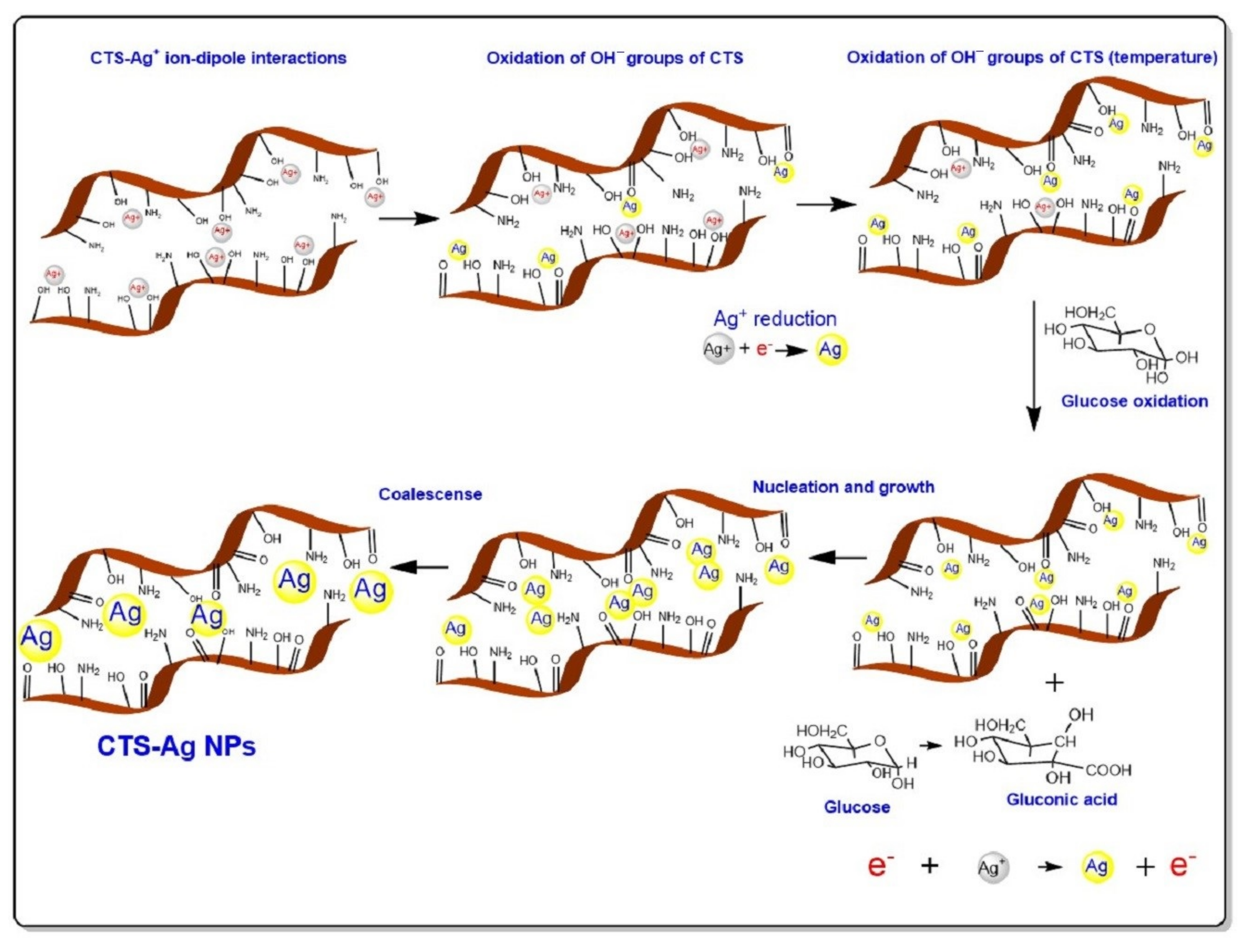 Polymers 14 00674 g003