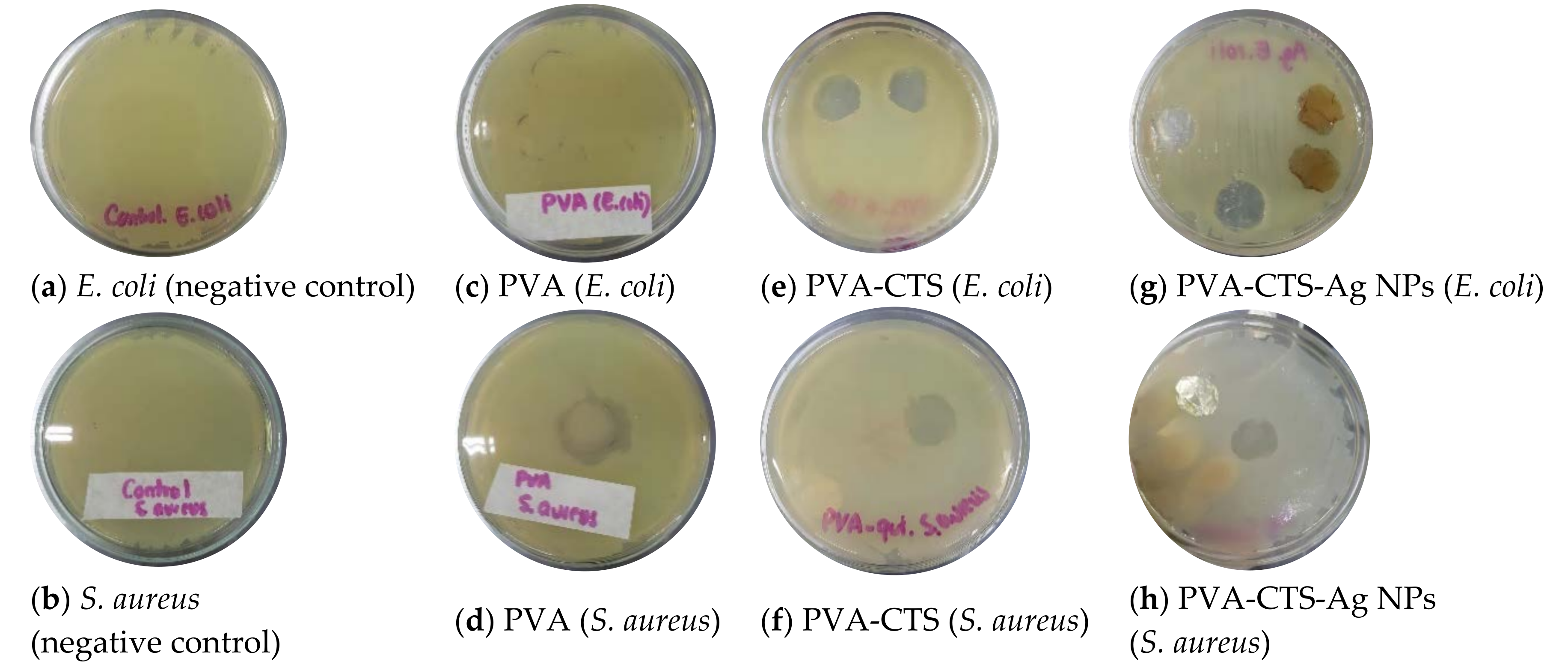 Polymers 14 00674 g009