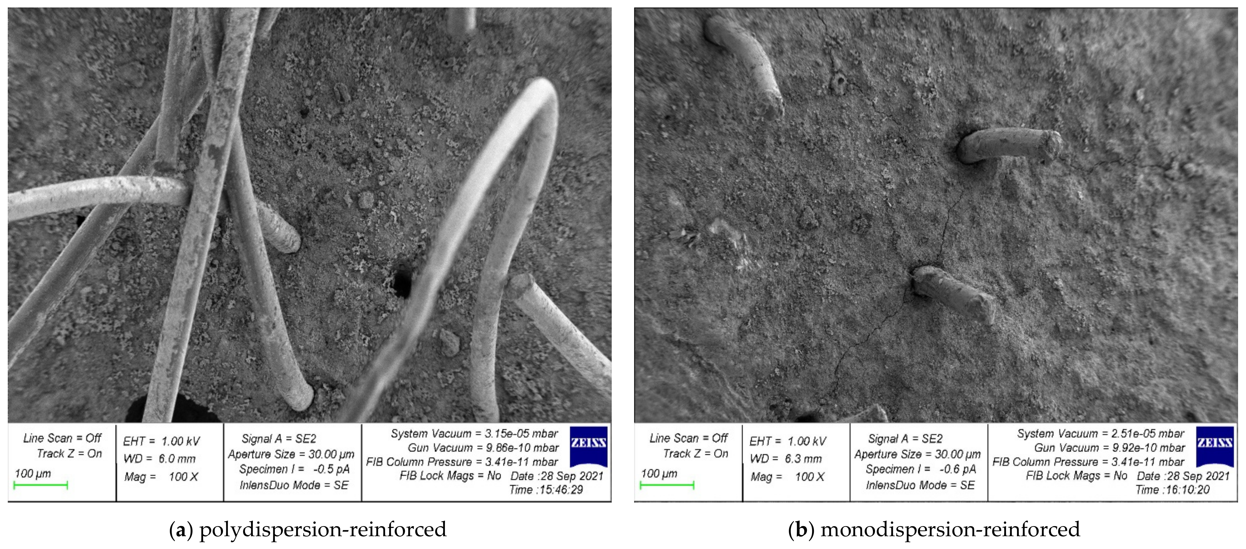 Polymers 14 00682 g006