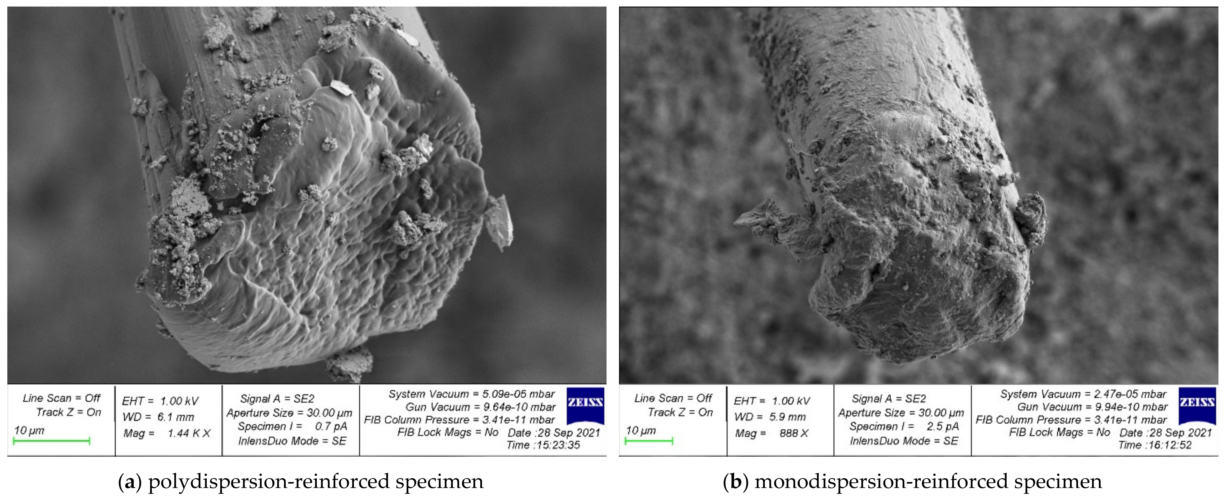 Polymers 14 00682 g009