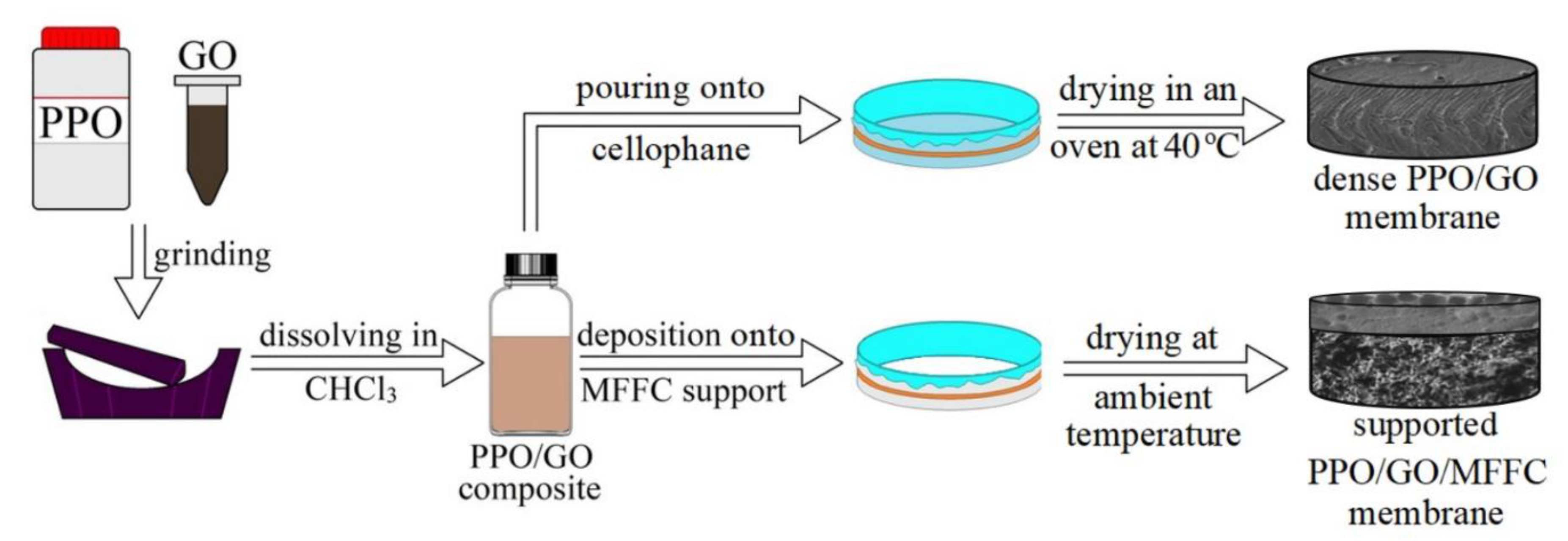 Polymers 14 00691 g001