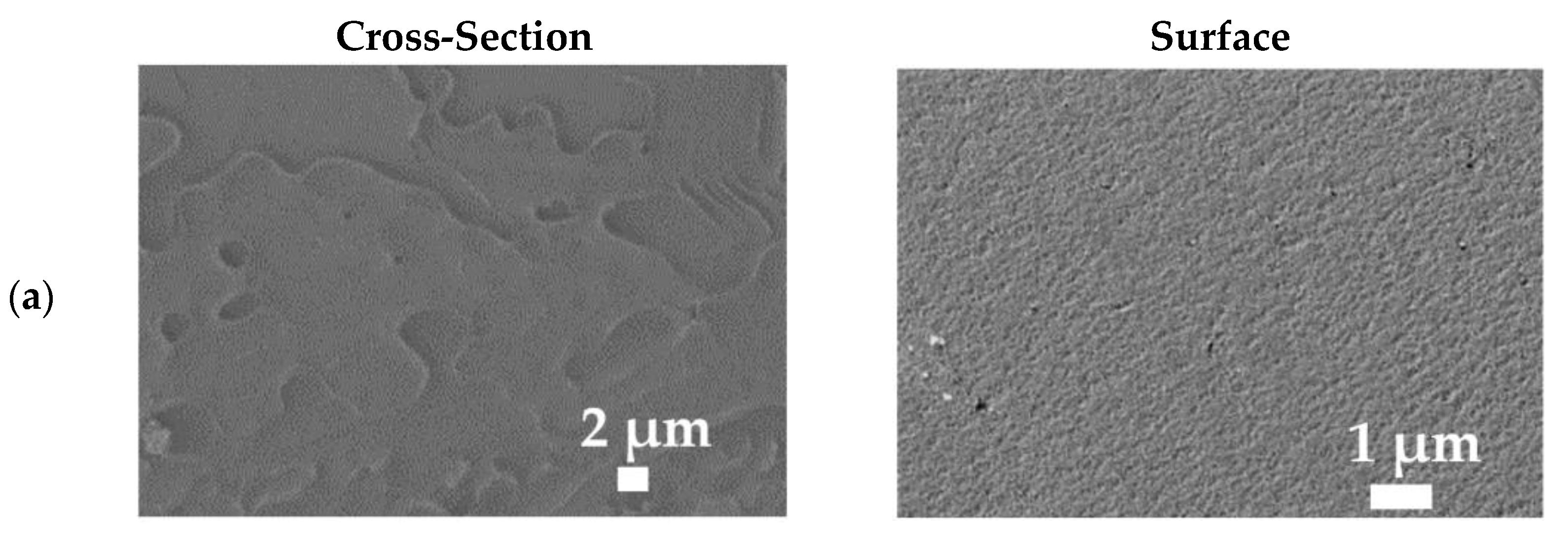 Polymers 14 00691 g008a