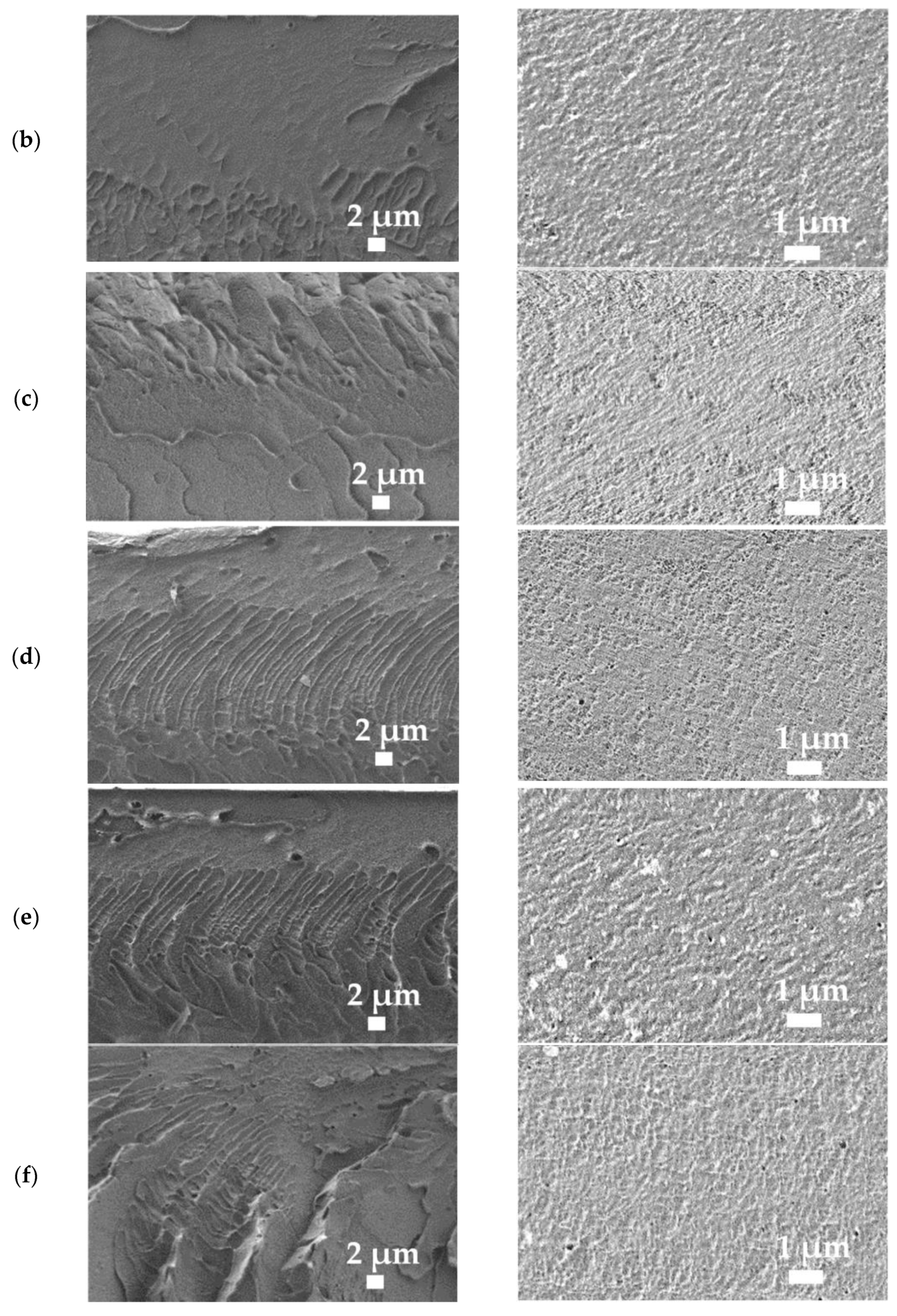 Polymers 14 00691 g008b