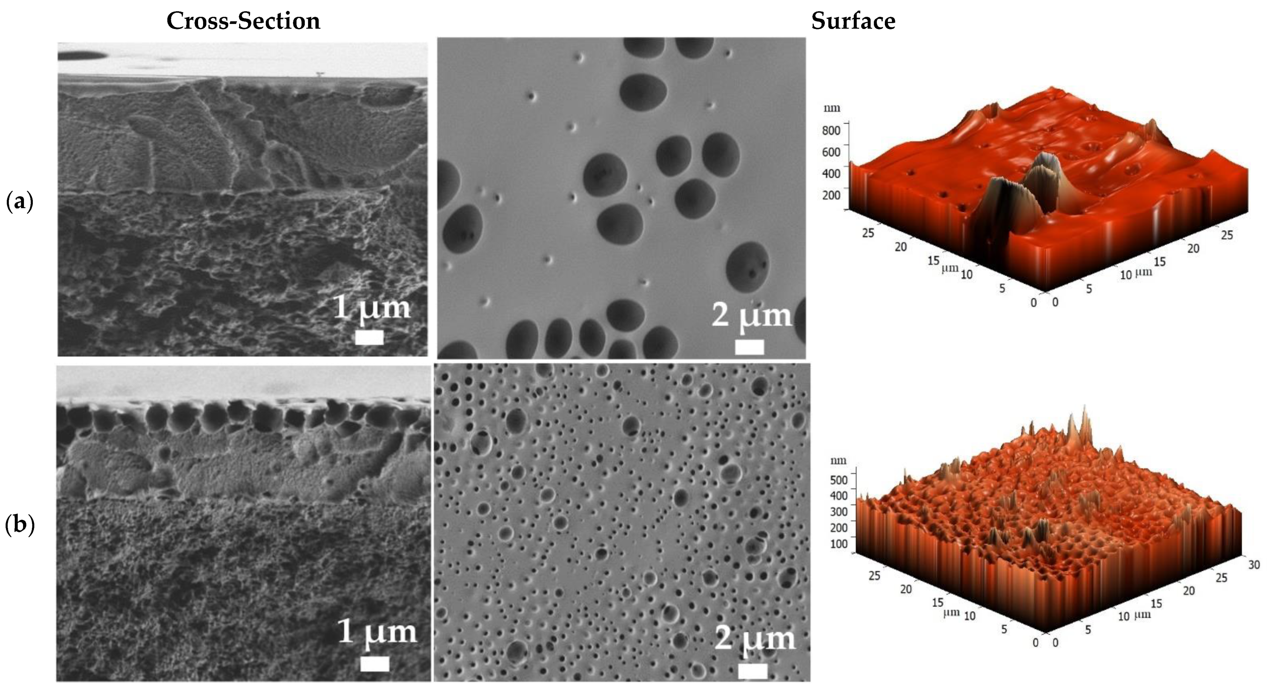 Polymers 14 00691 g011