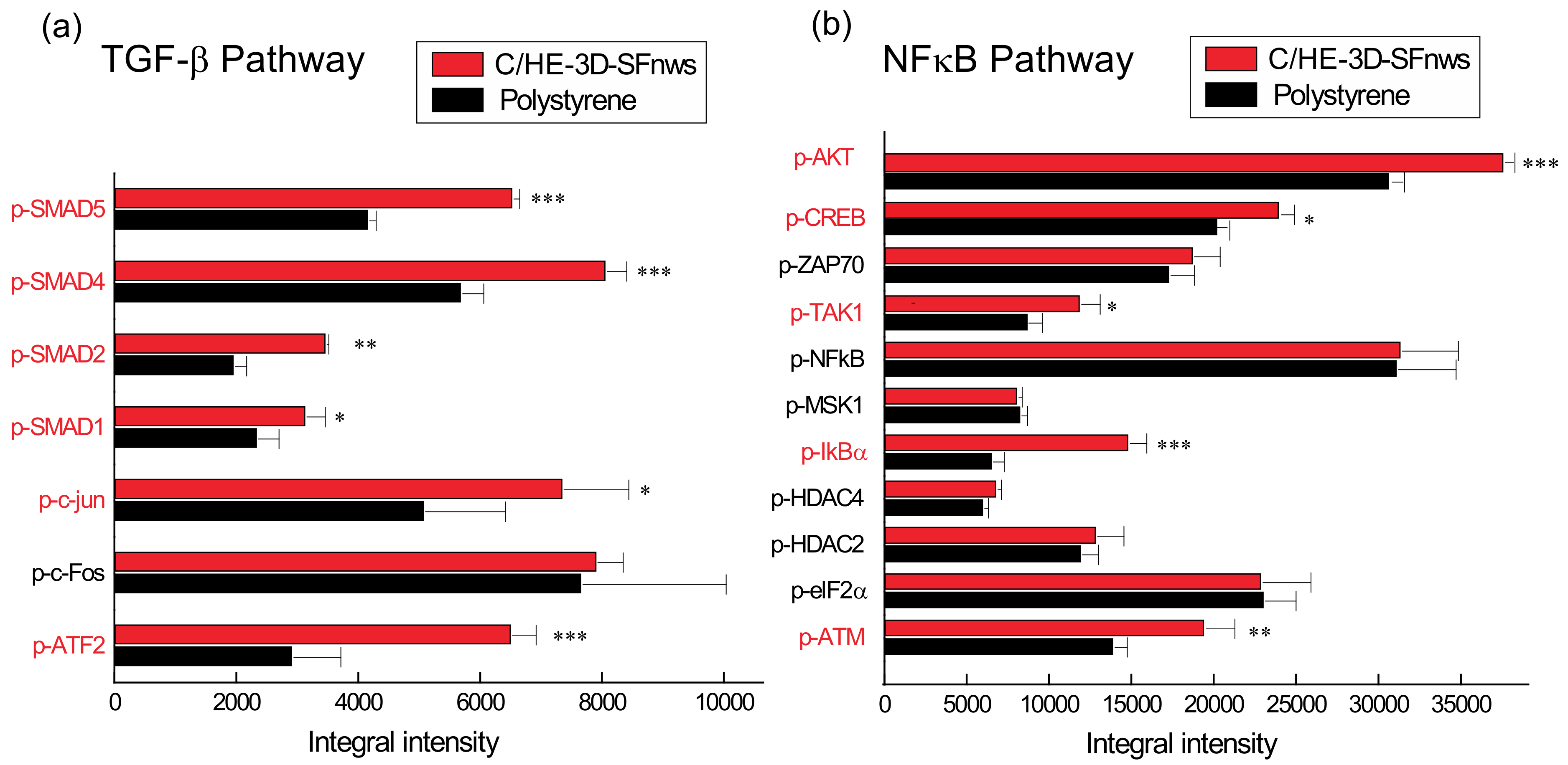 Polymers 14 00697 g002 550