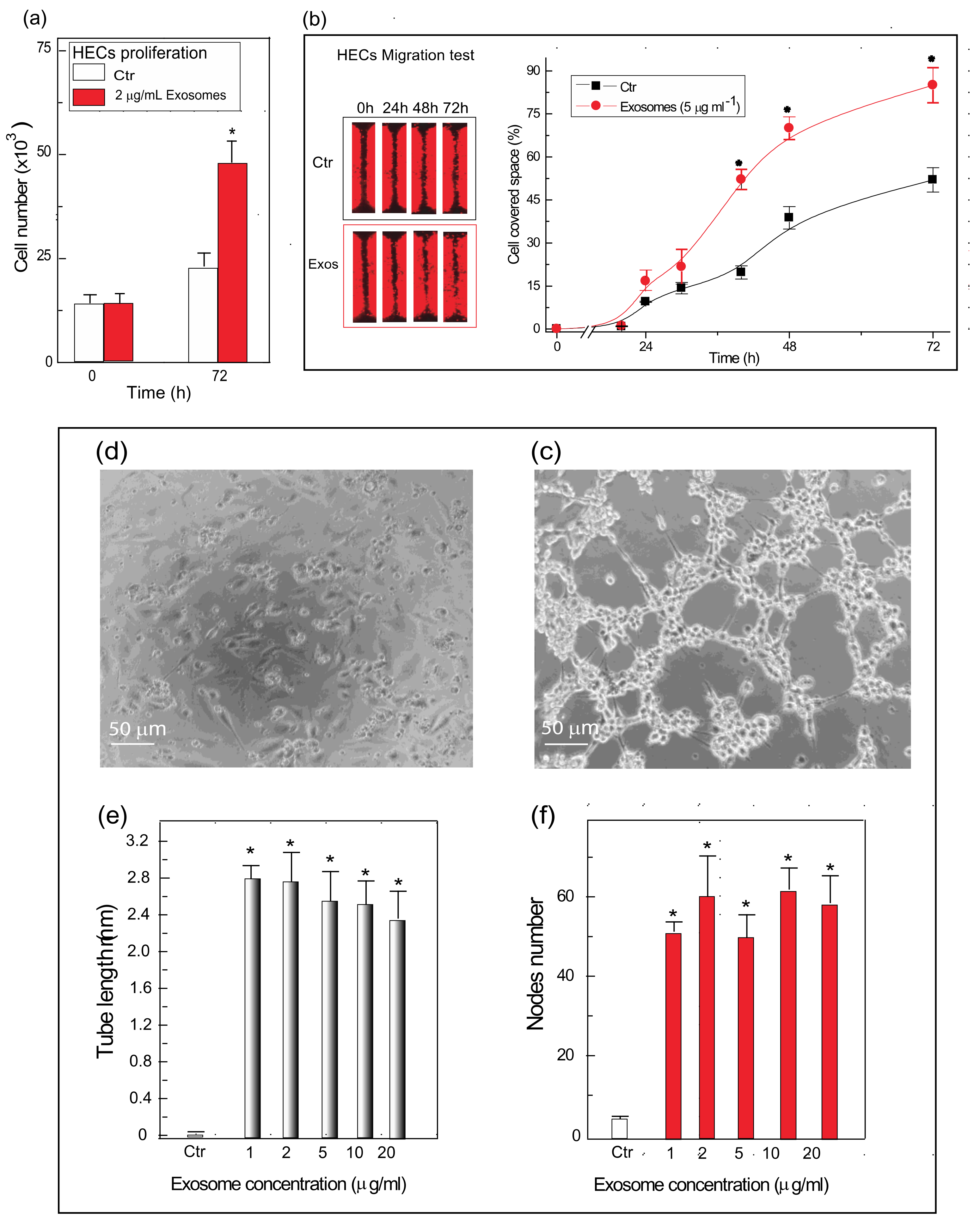 Polymers 14 00697 g004 550