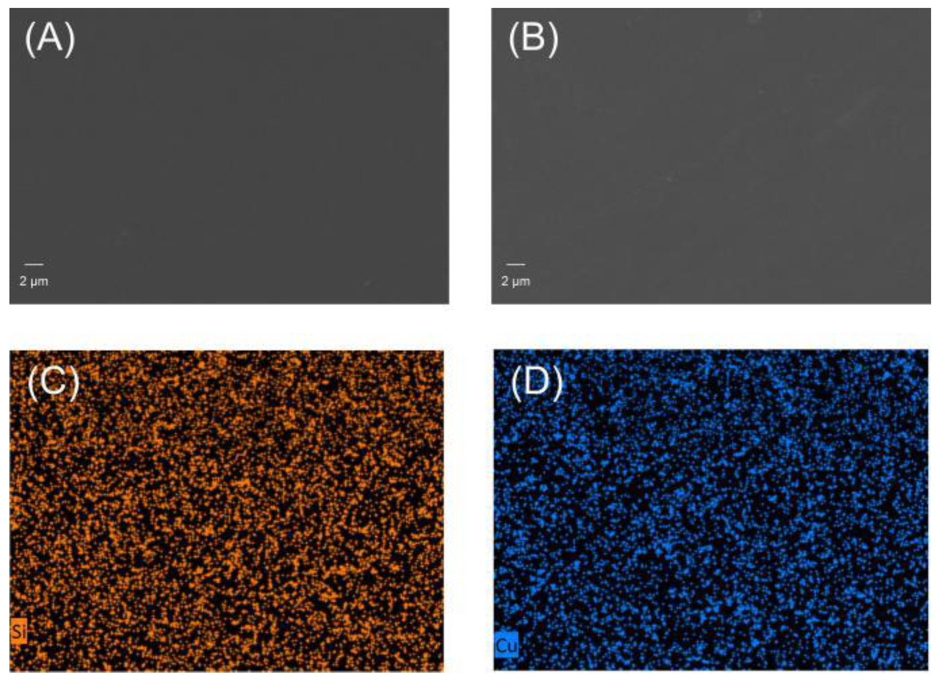 Polymers 14 00699 g004 550