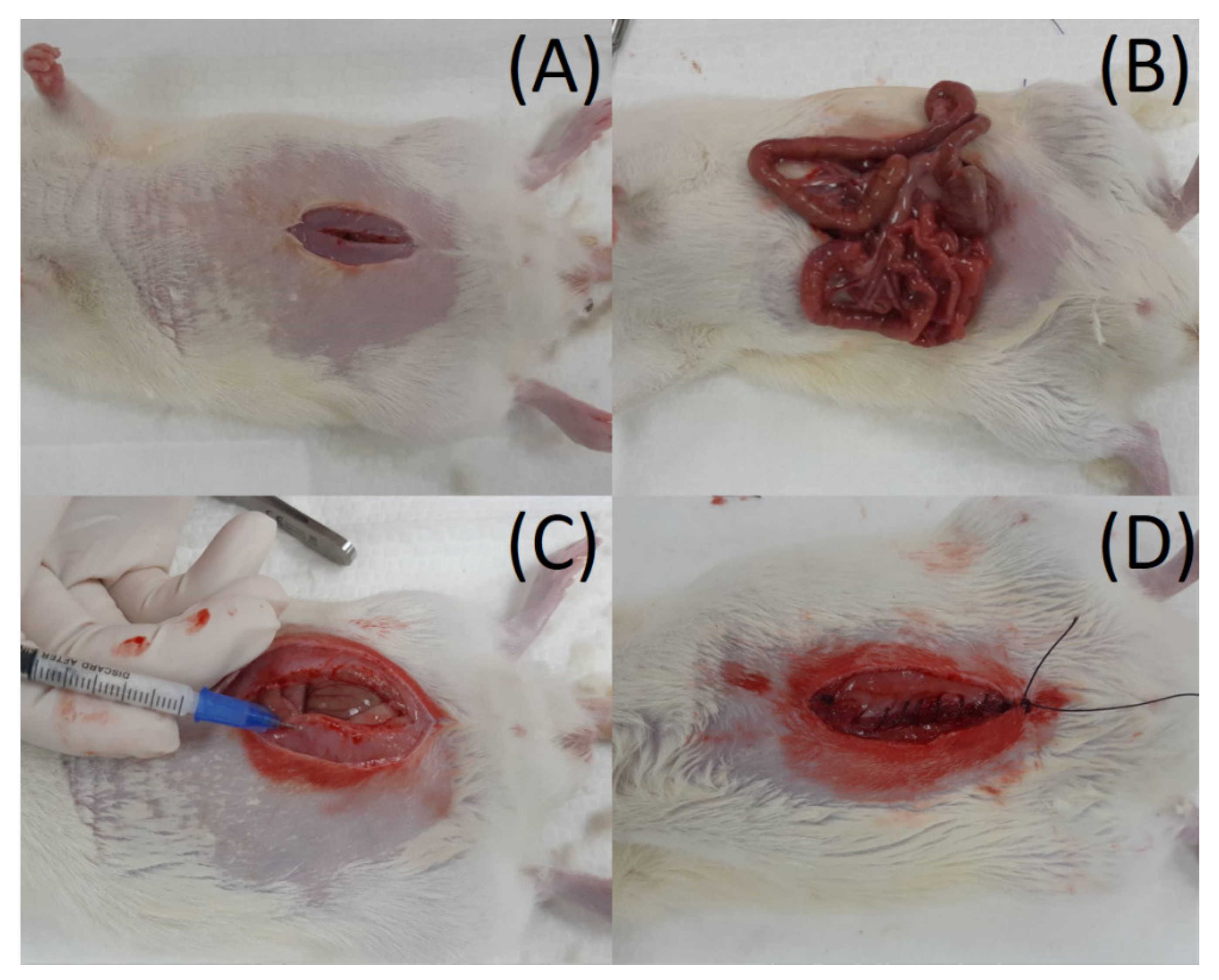 Polymers 14 00702 g002 550