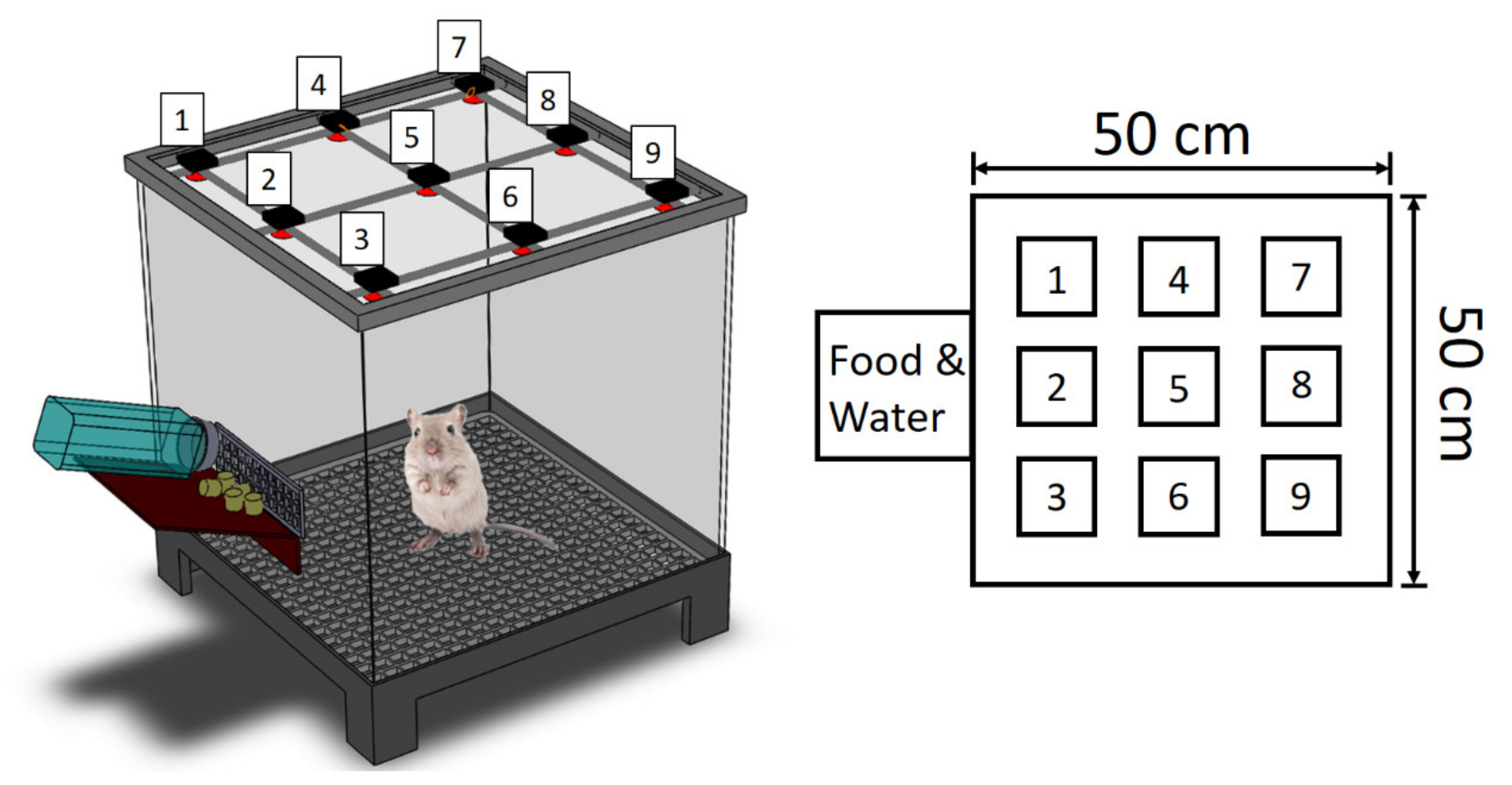 Polymers 14 00702 g003 550