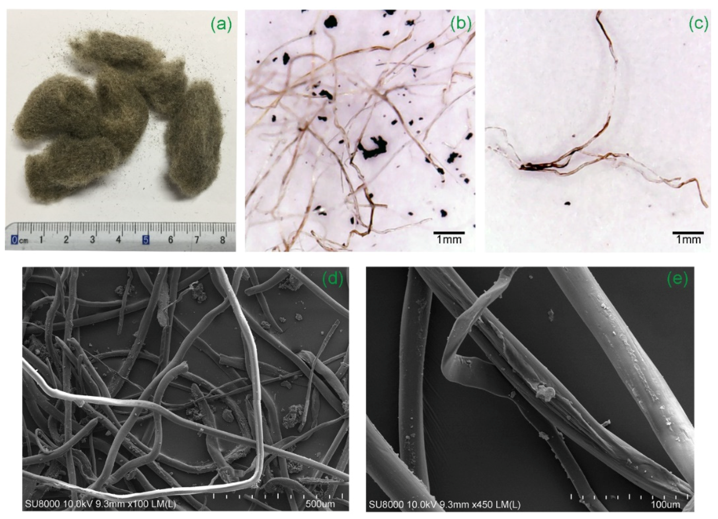 Polymers 14 00708 g005 550